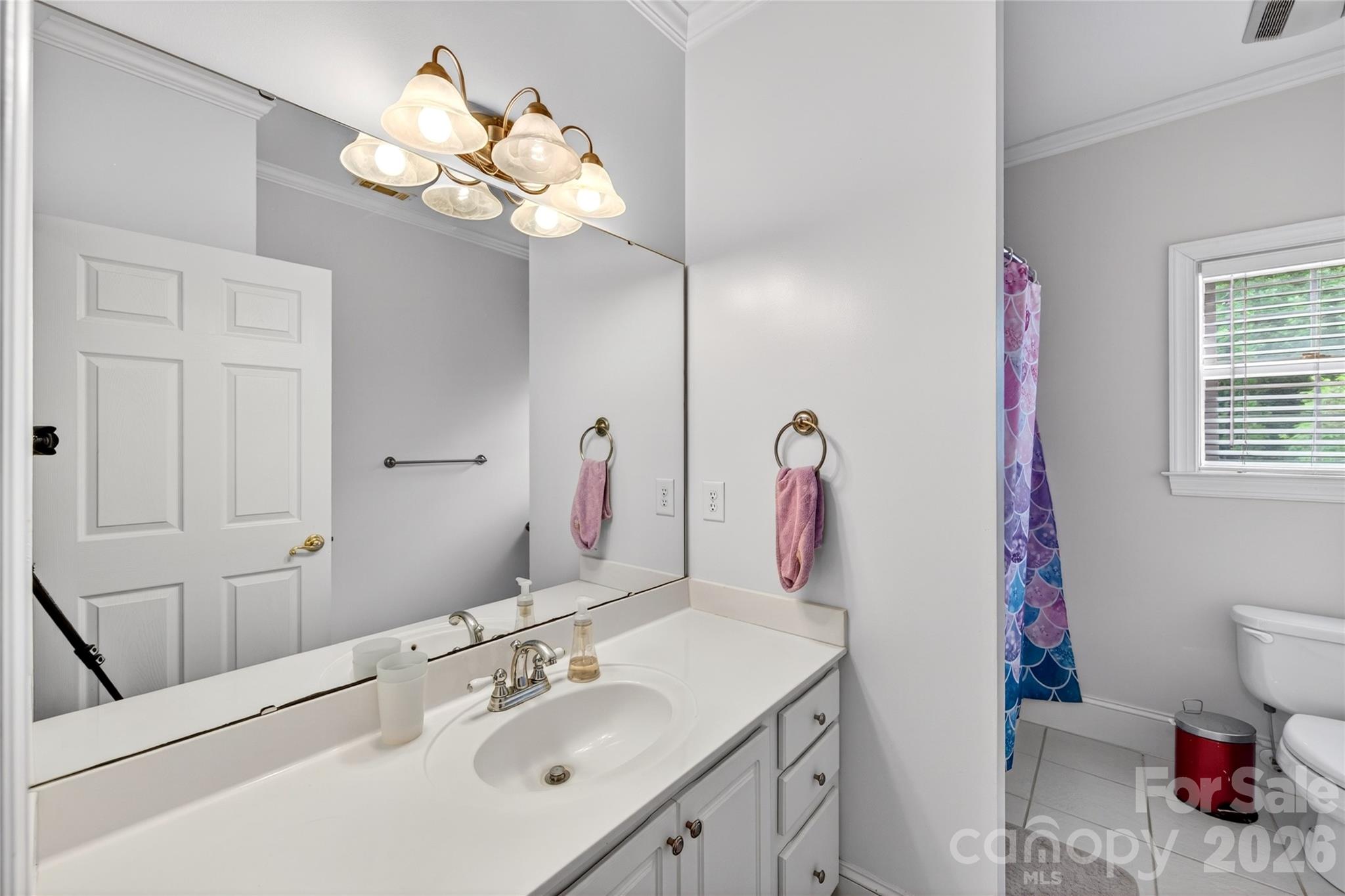8628 Brookgreen Drive — Mint Hill