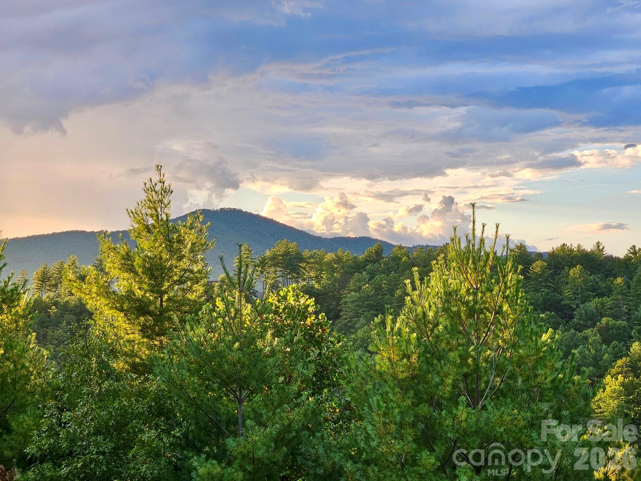 5564 Table View Lane — Lenoir