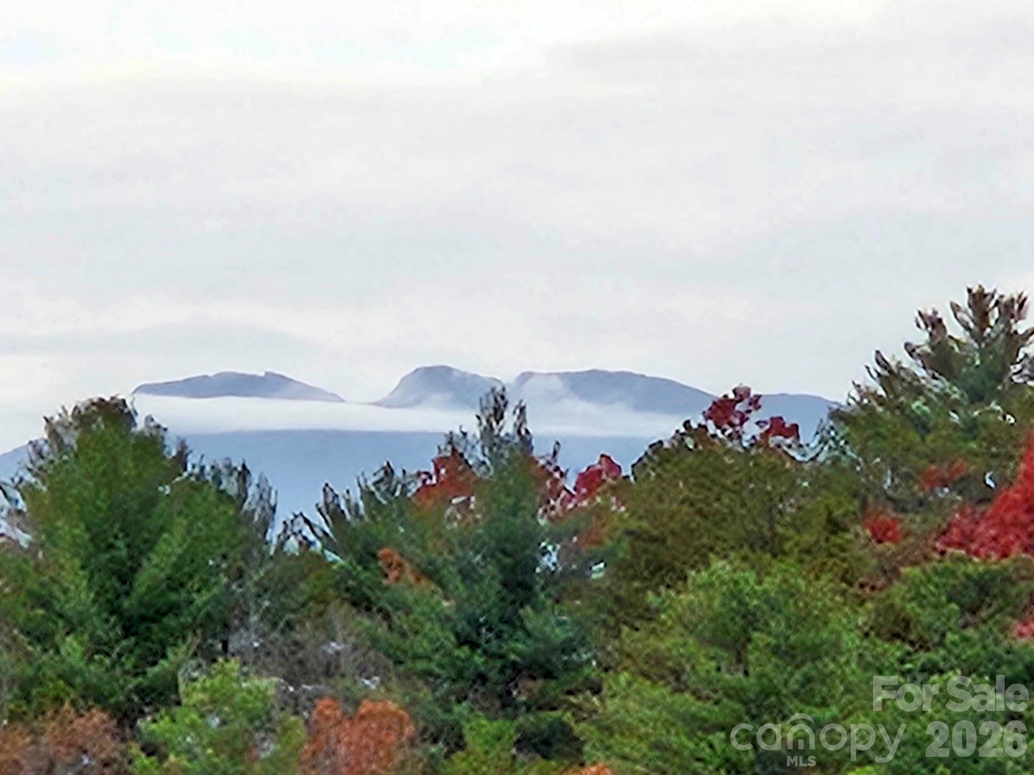 5564 Table View Lane — Lenoir
