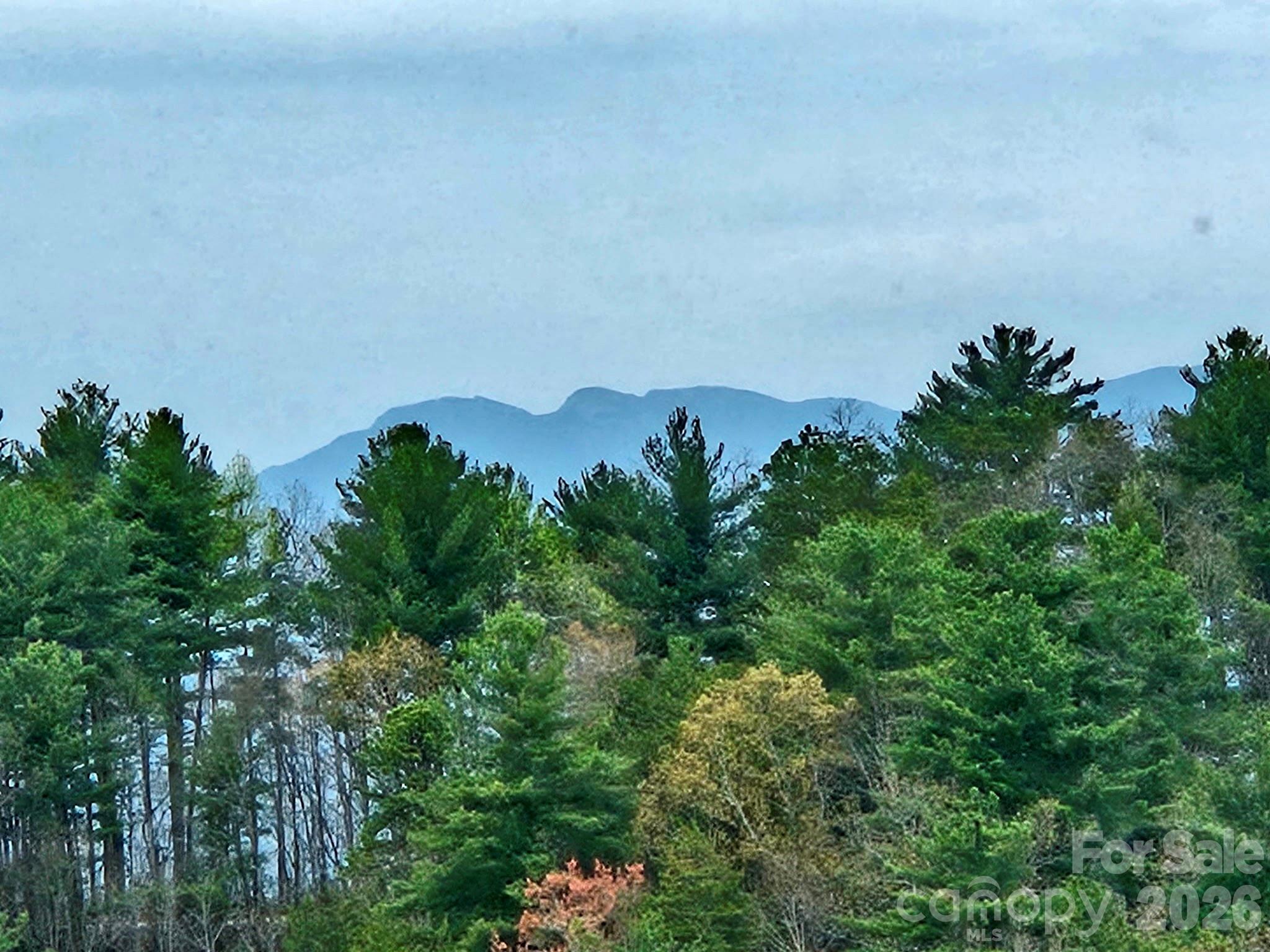 5564 Table View Lane — Lenoir