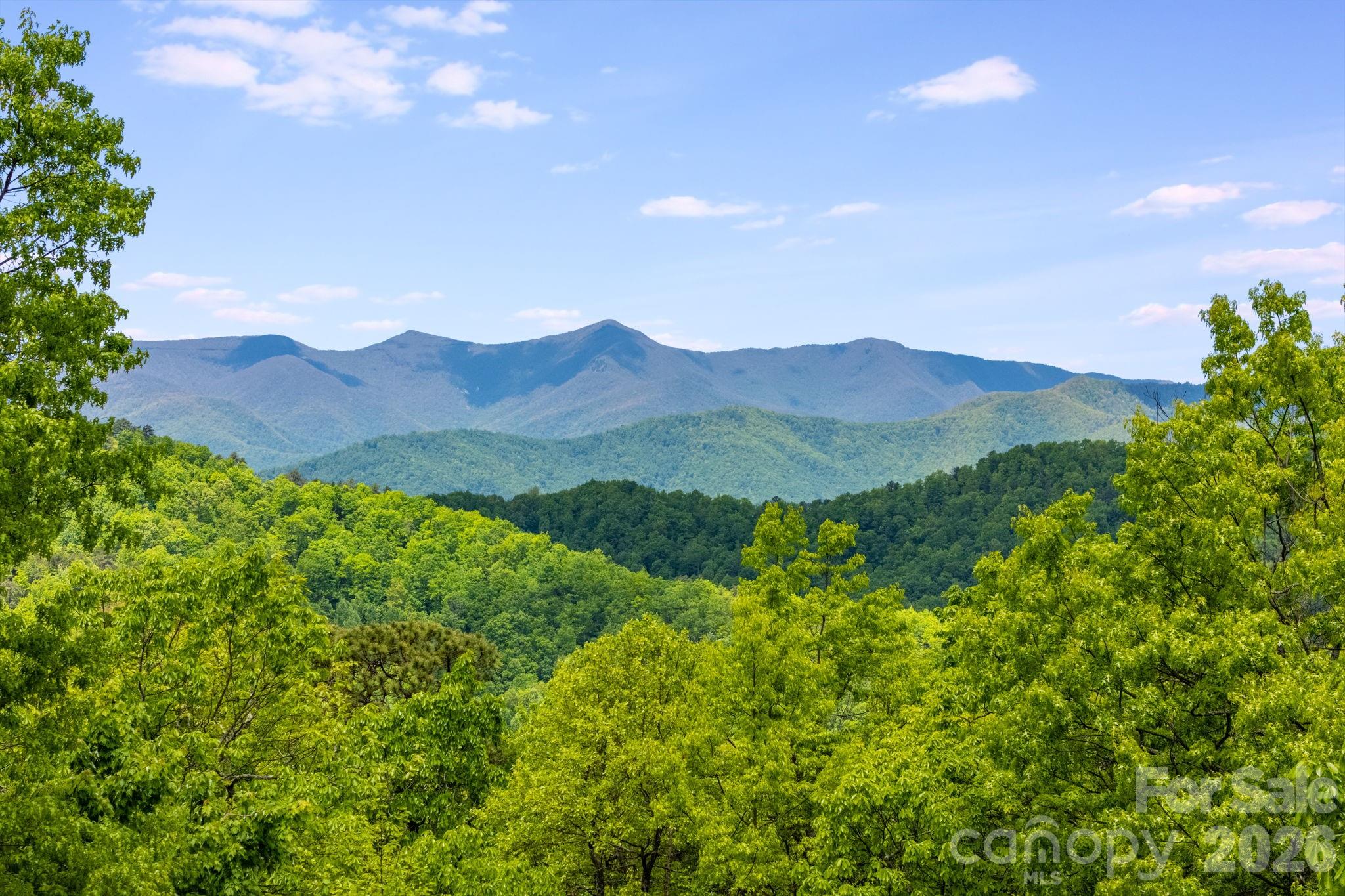 1659 High Rock Acres Drive — Black Mountain