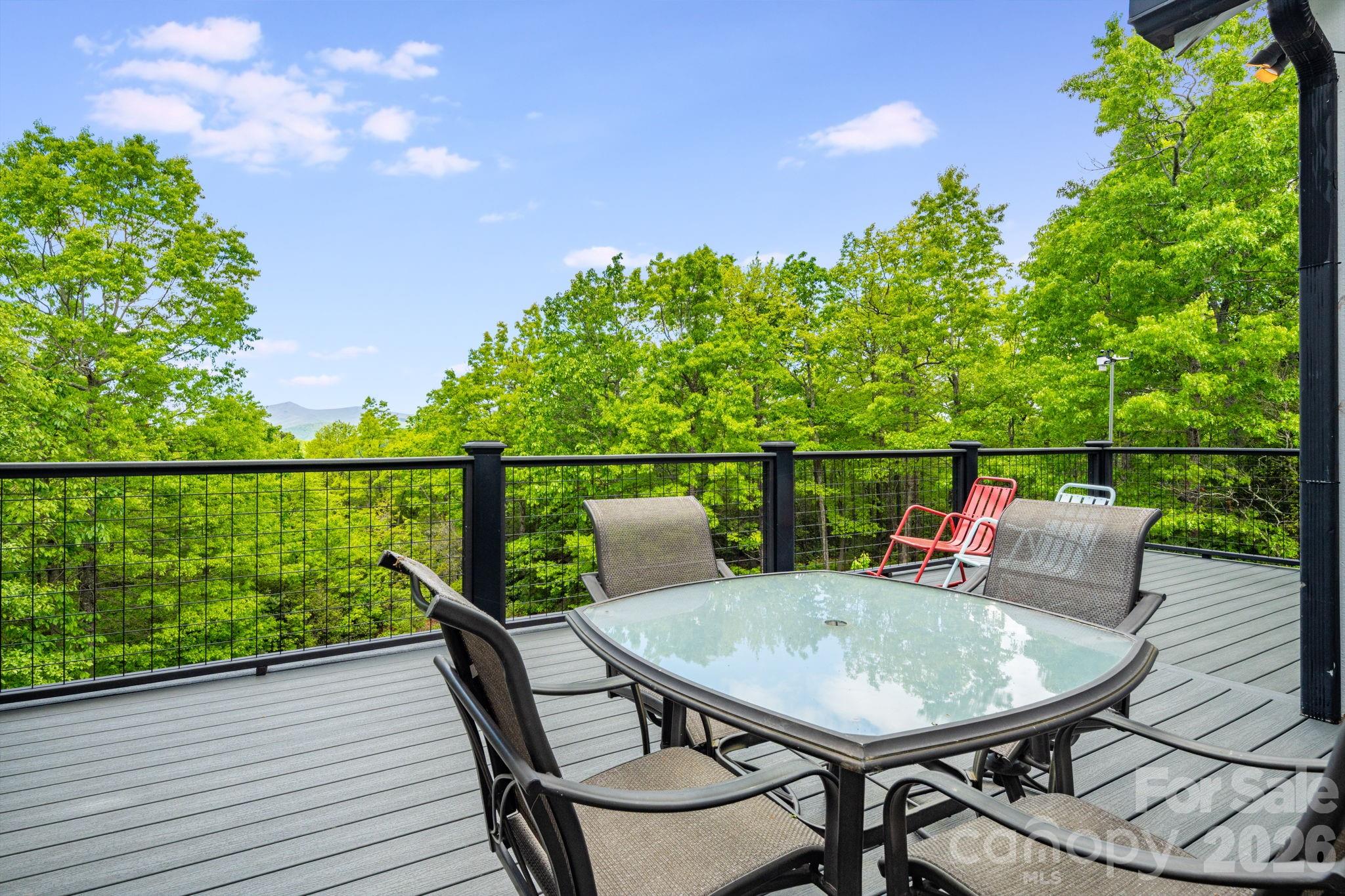 1659 High Rock Acres Drive — Black Mountain