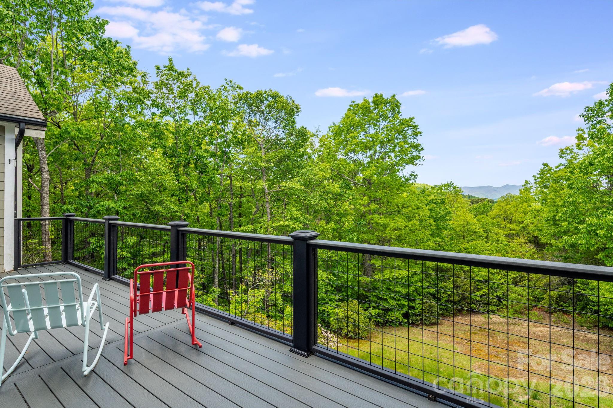 1659 High Rock Acres Drive — Black Mountain