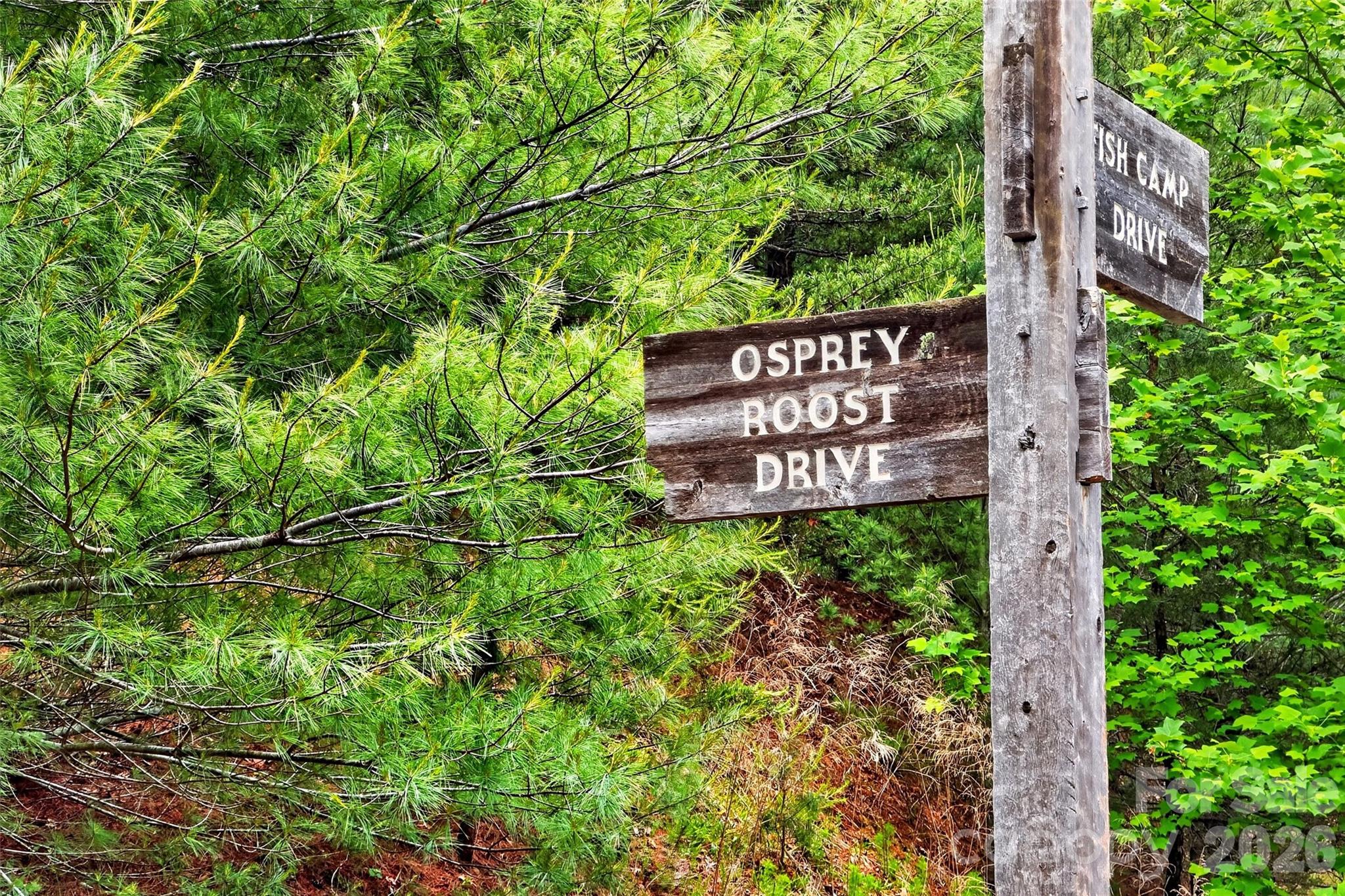 159 Osprey Roost Drive — Nebo