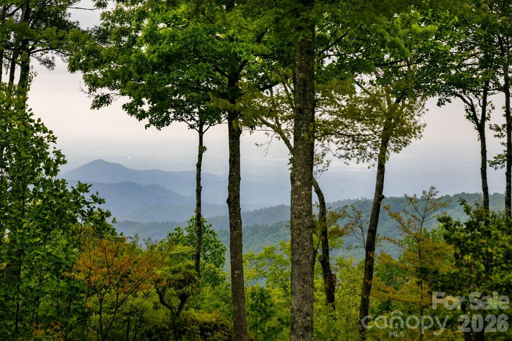 111 Wild Hog Creek Road — Rosman