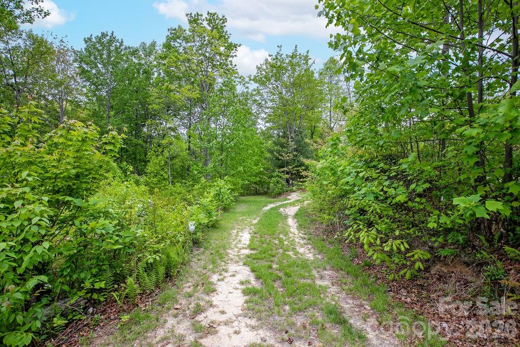 111 Wild Hog Creek Road — Rosman