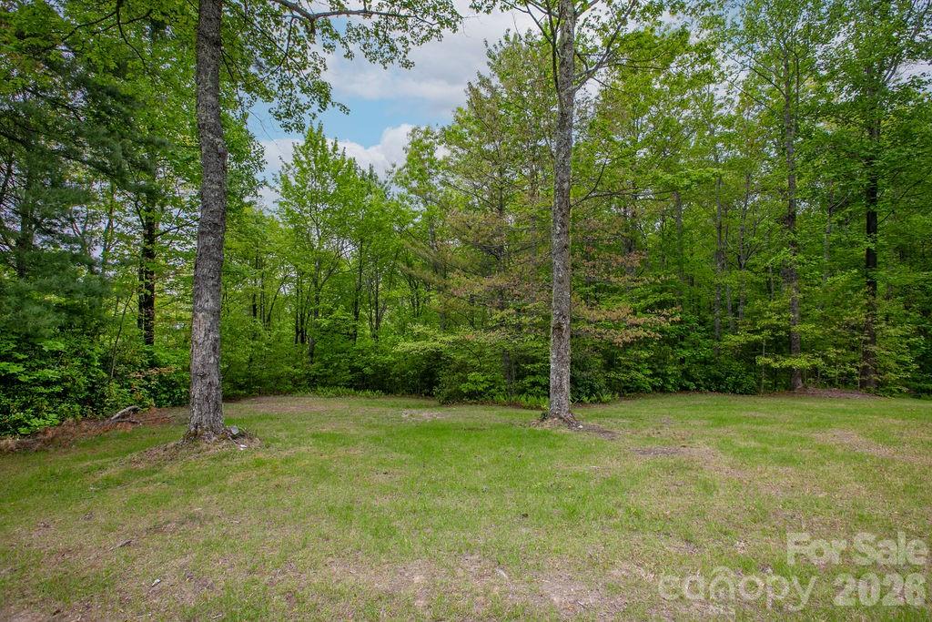 111 Wild Hog Creek Road — Rosman