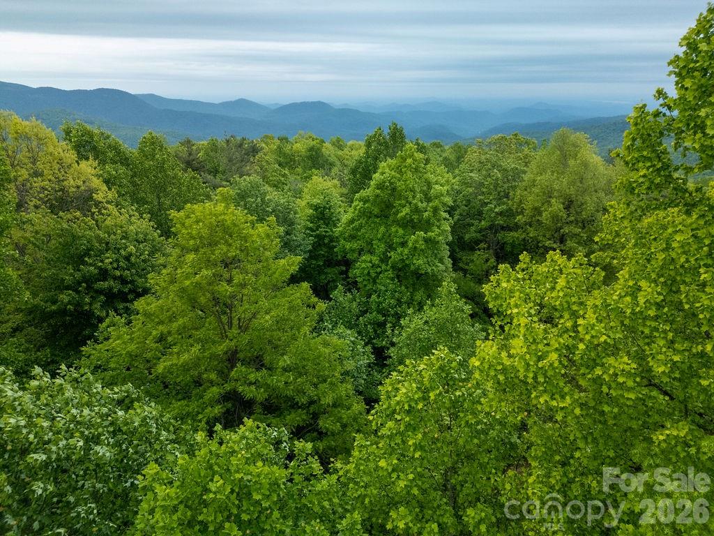 111 Wild Hog Creek Road — Rosman