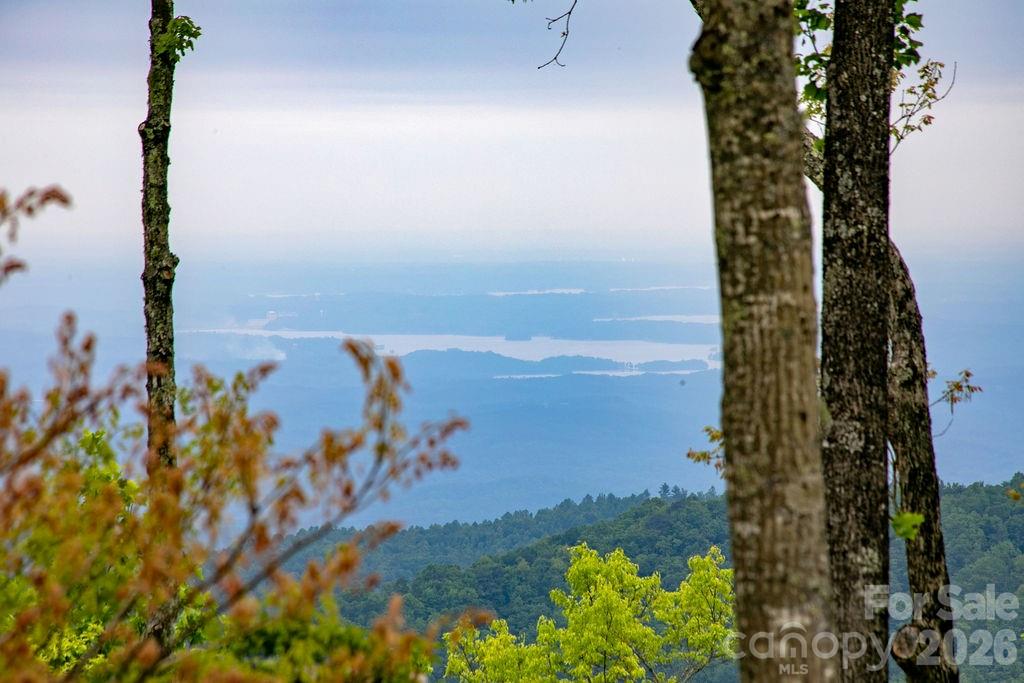 111 Wild Hog Creek Road — Rosman