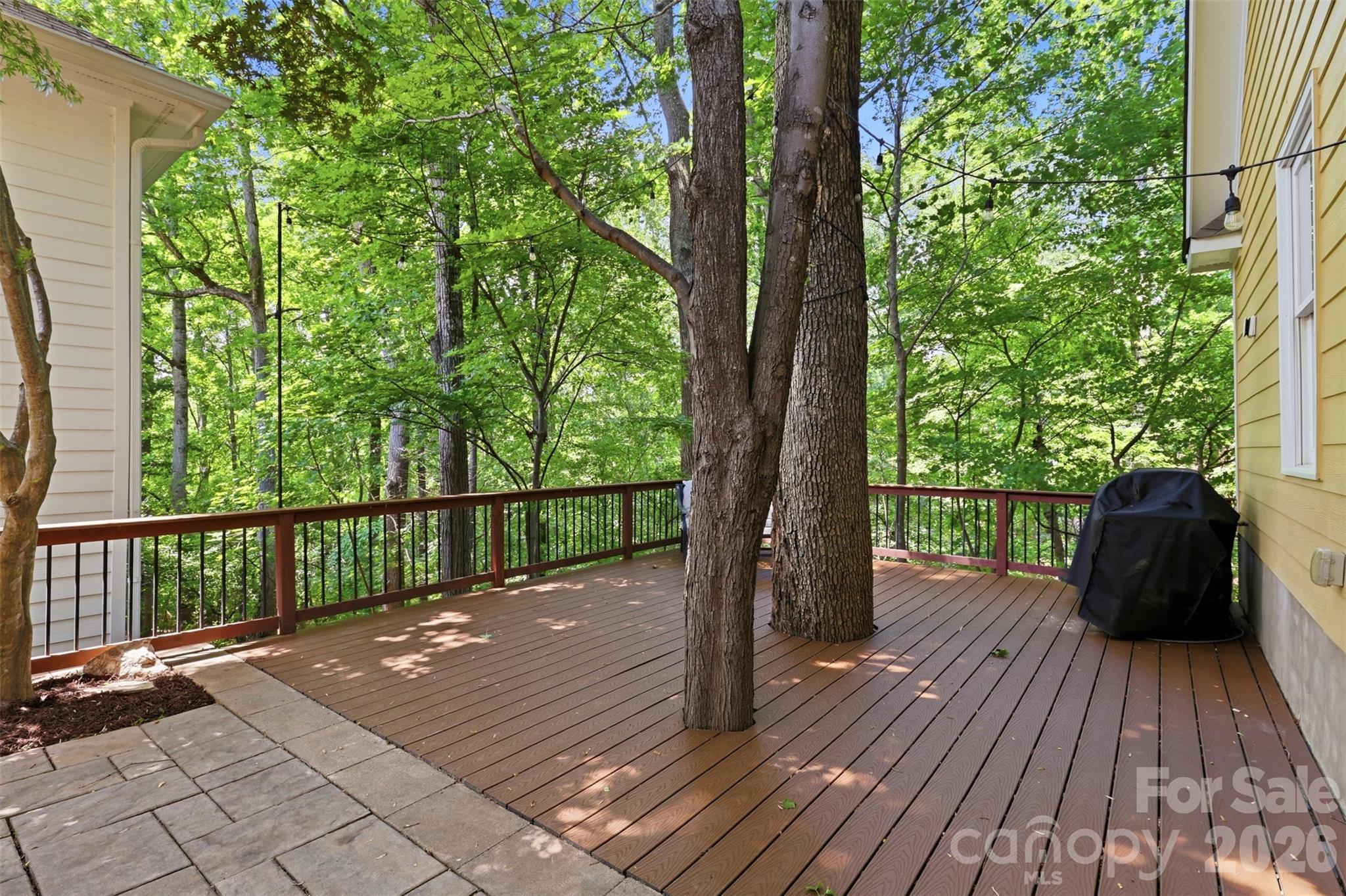 739 Julia Street — Fort Mill