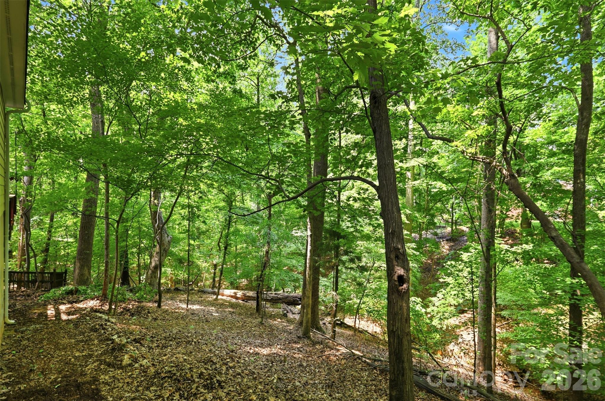 739 Julia Street — Fort Mill