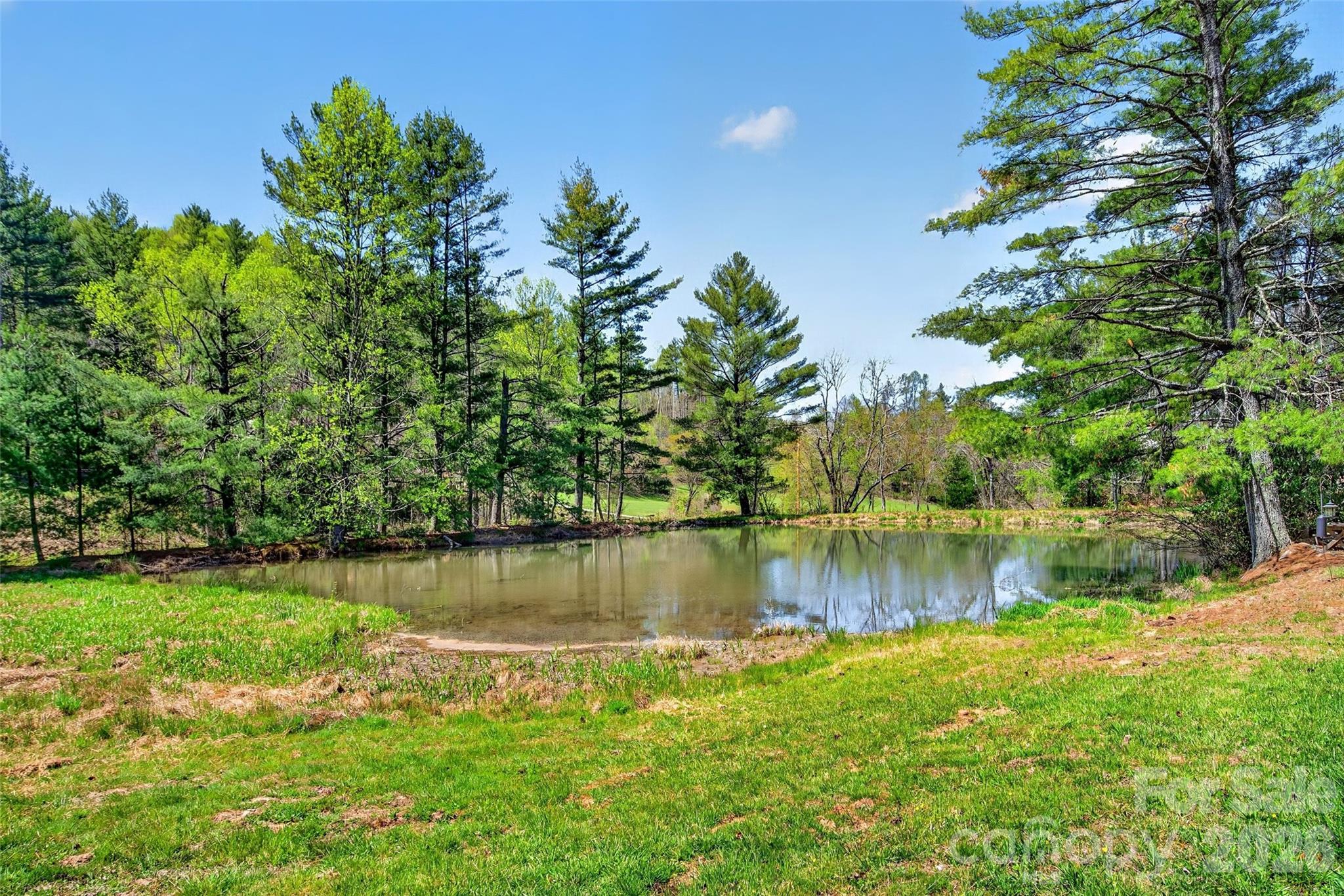 1959 Jackson Town Road #A — Spruce Pine