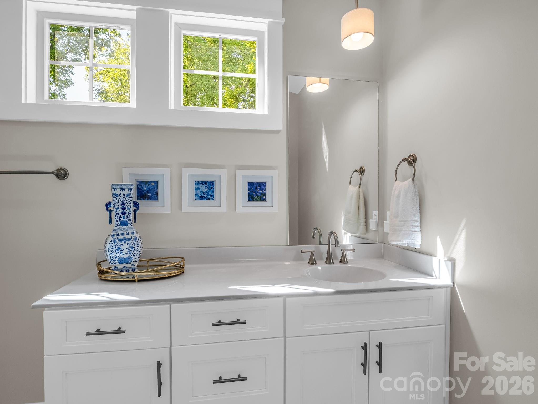 564 Sweet Birch Park Lane — Black Mountain