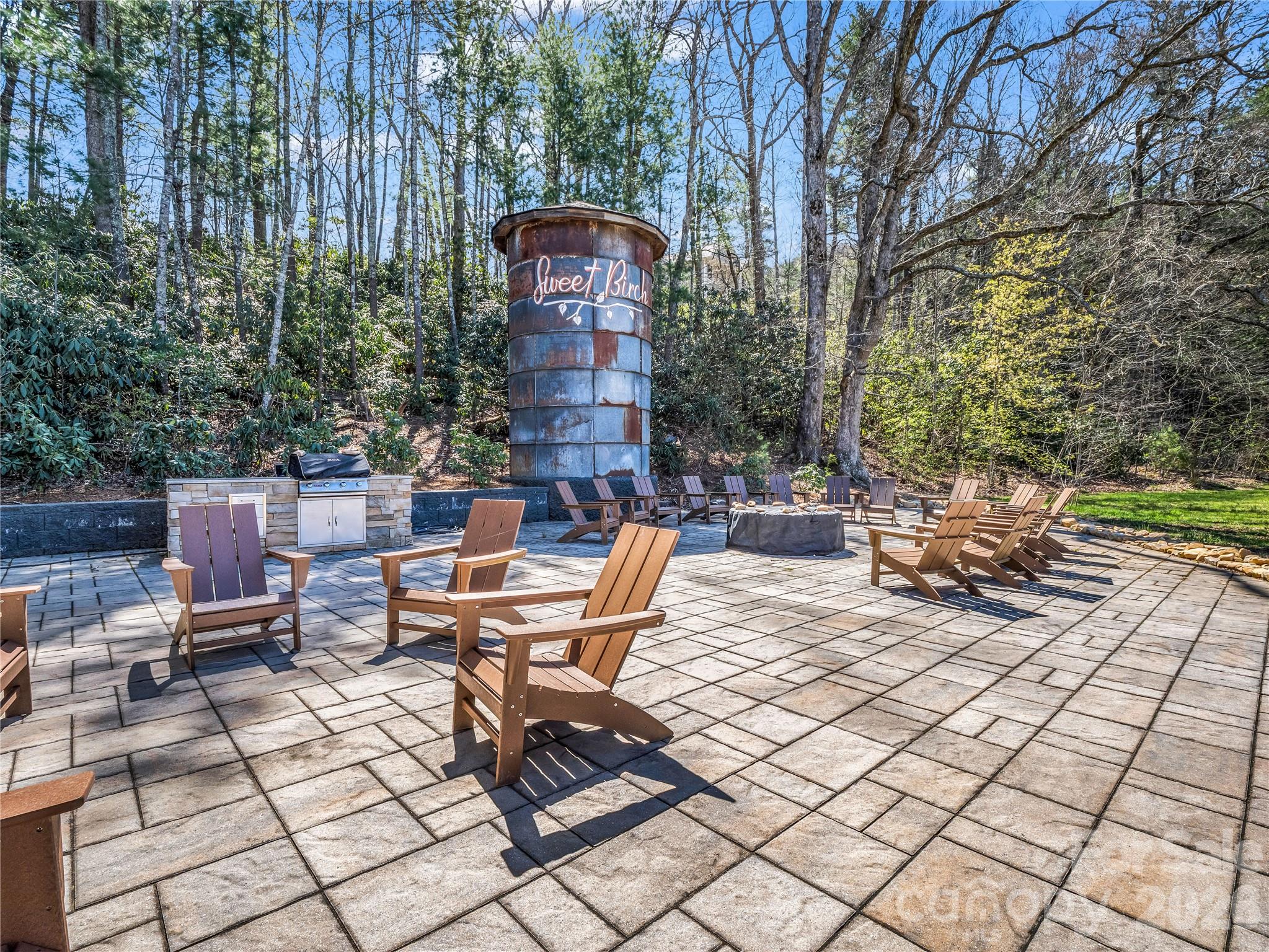 564 Sweet Birch Park Lane — Black Mountain