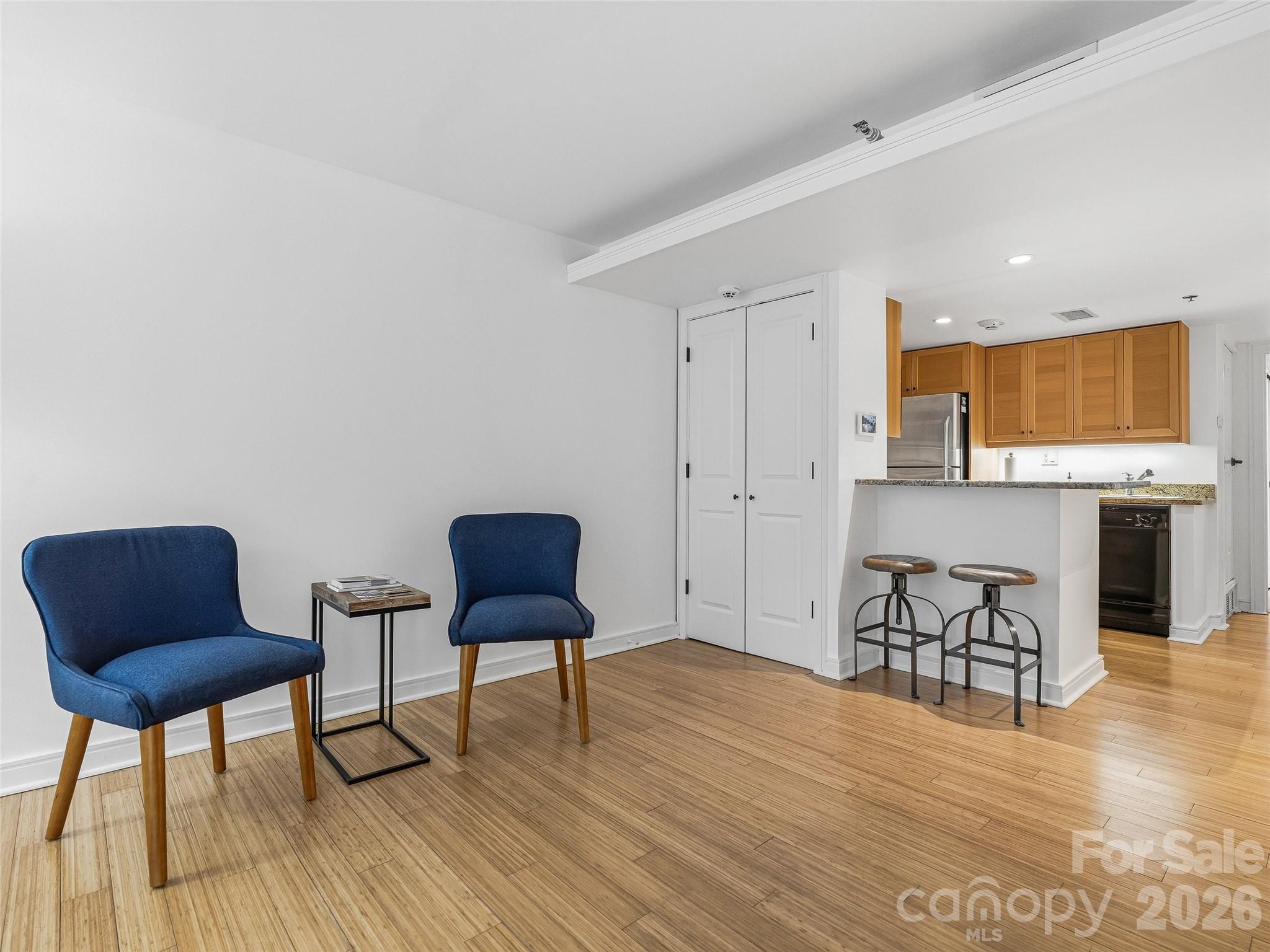 37 Hiawassee Street #E103 — Asheville