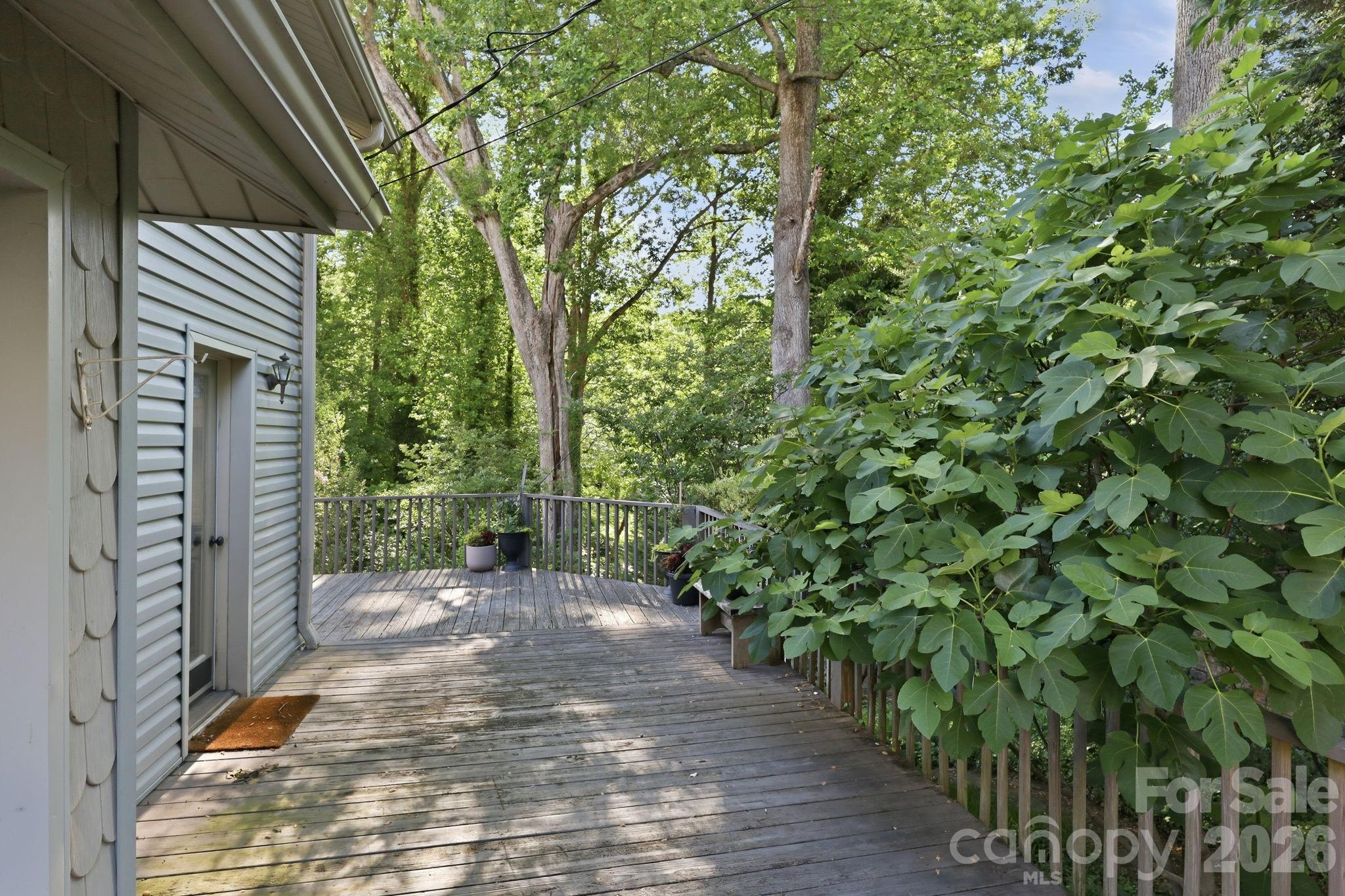 150 Pacolet Street — Tryon