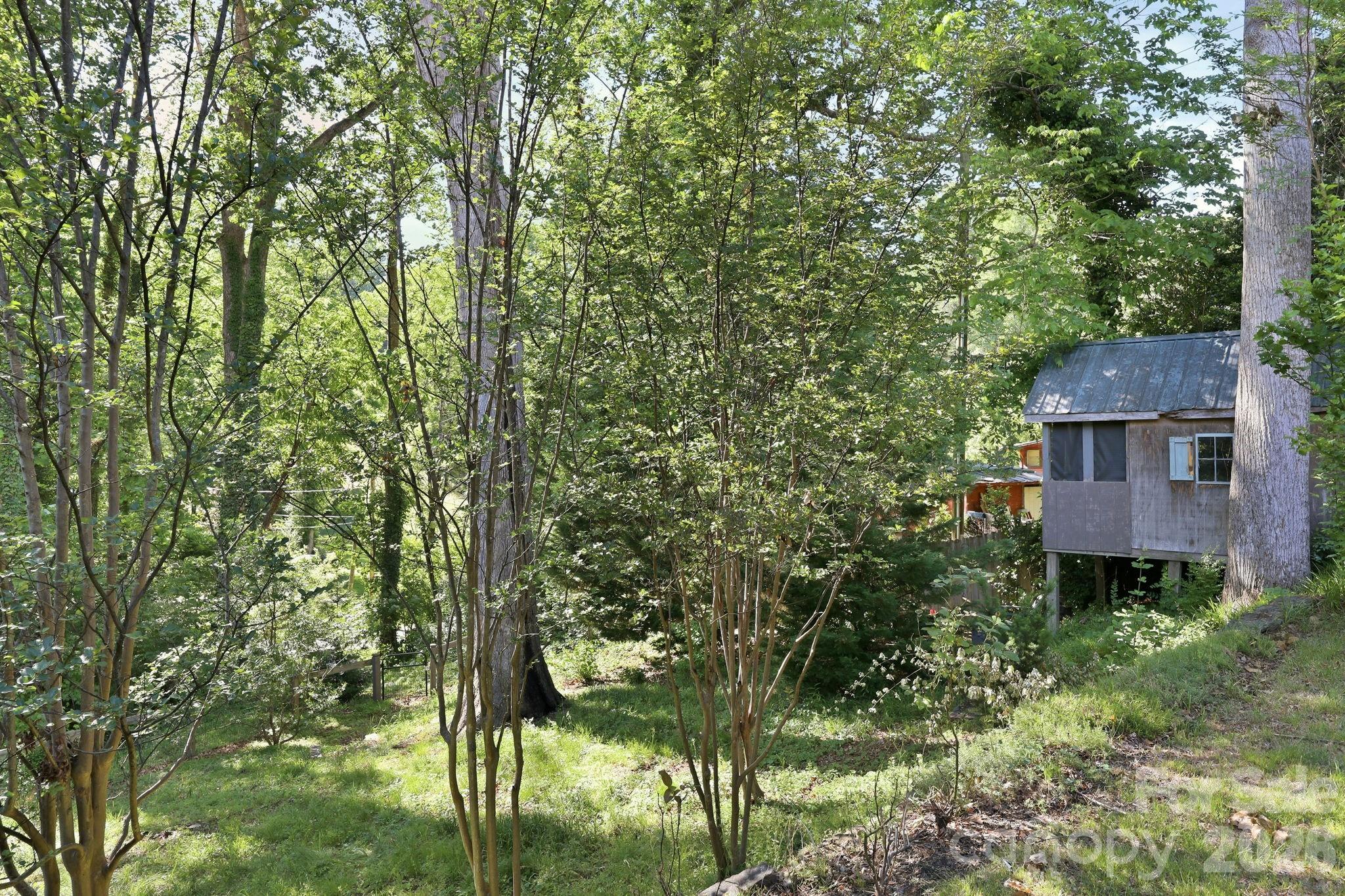 150 Pacolet Street — Tryon