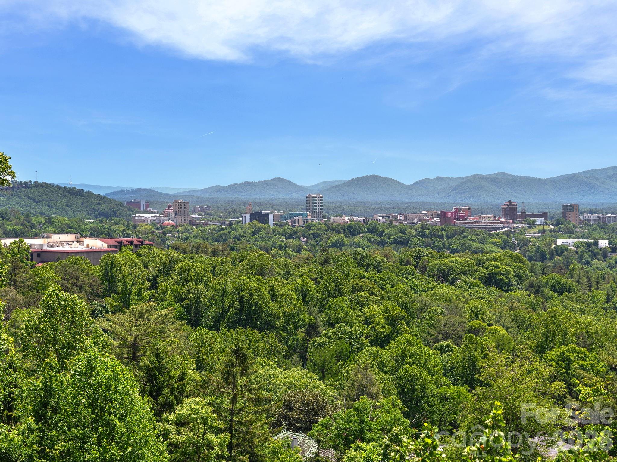 127 N Griffing Boulevard — Asheville