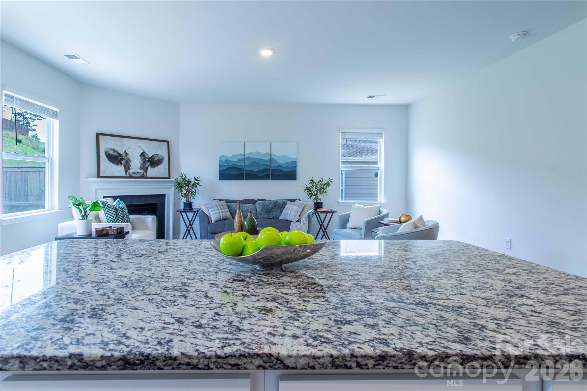 917 Newport Court — Asheville