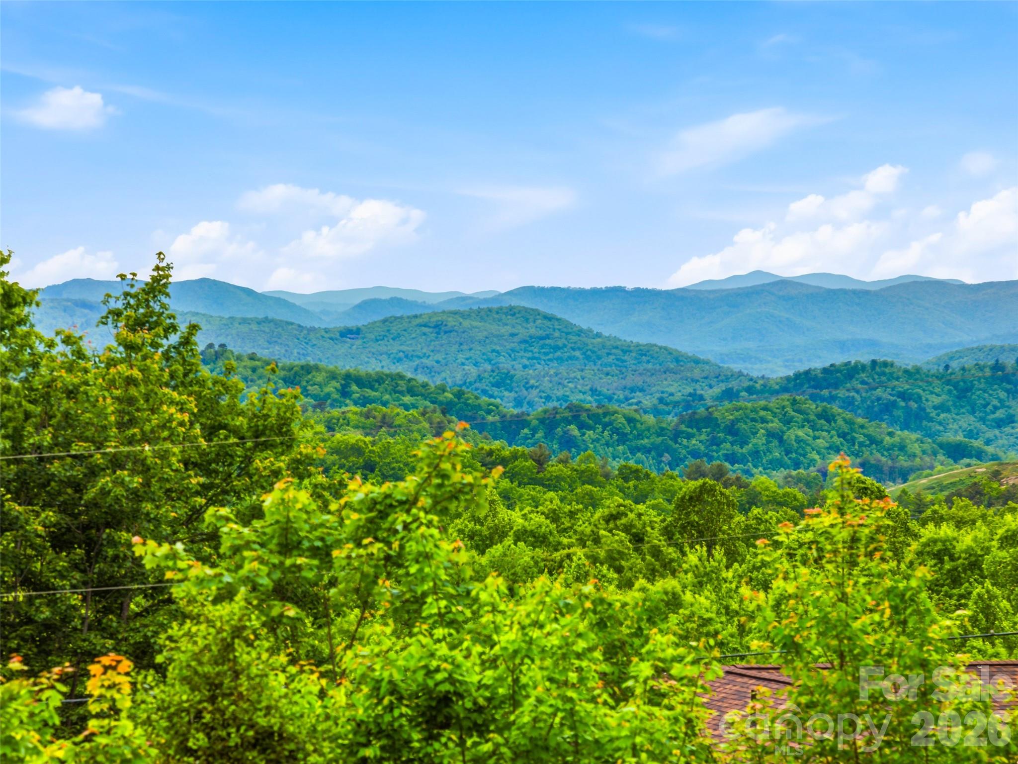 29 Panther Ridge Road — Brevard