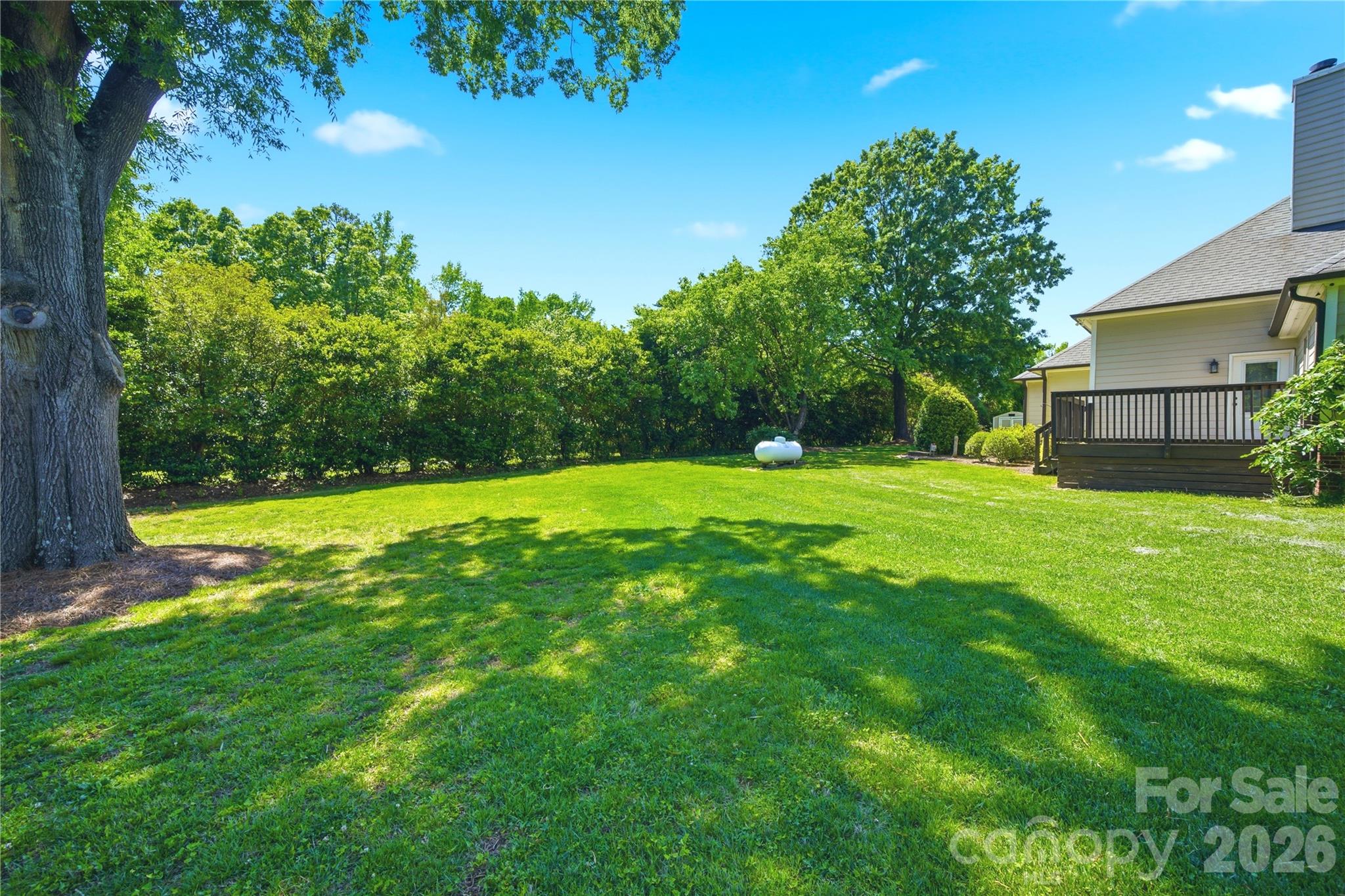 5701 Cedar Hill Drive — Wesley Chapel