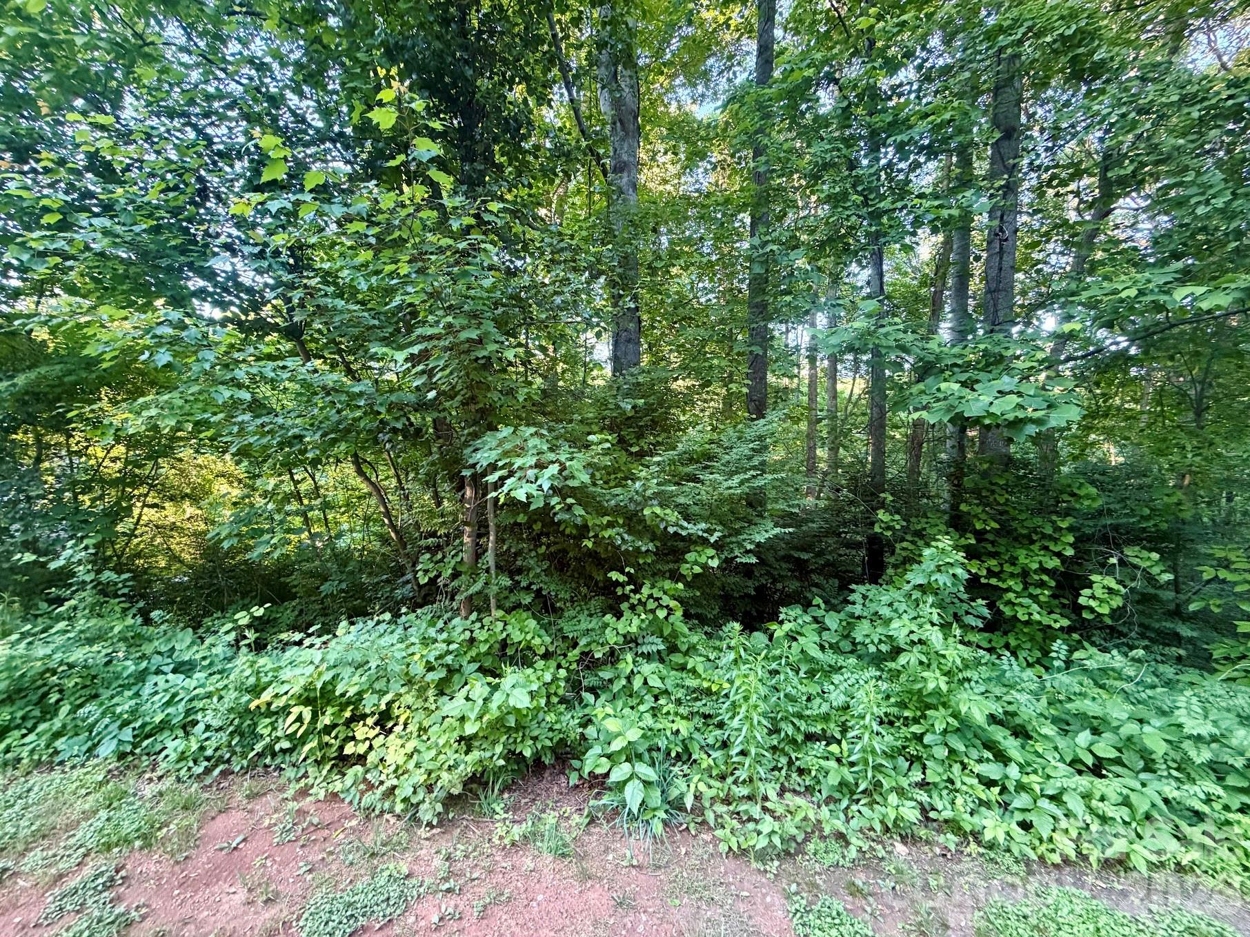 1227 Shirebourn None — Hickory