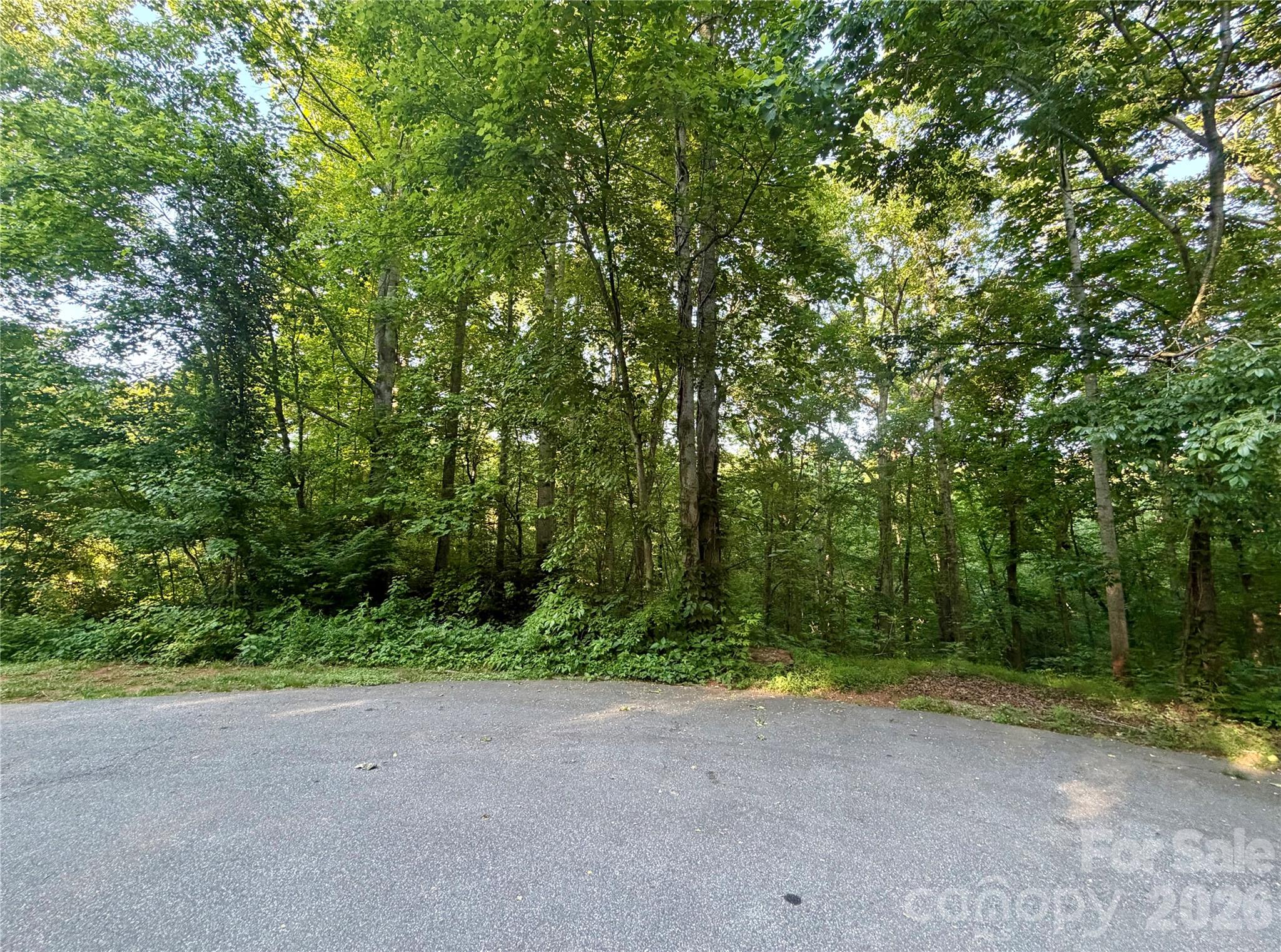 1227 Shirebourn None — Hickory