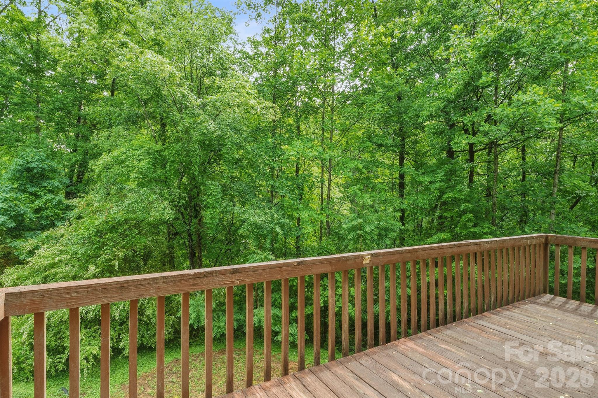 1227 Shirebourn None — Hickory