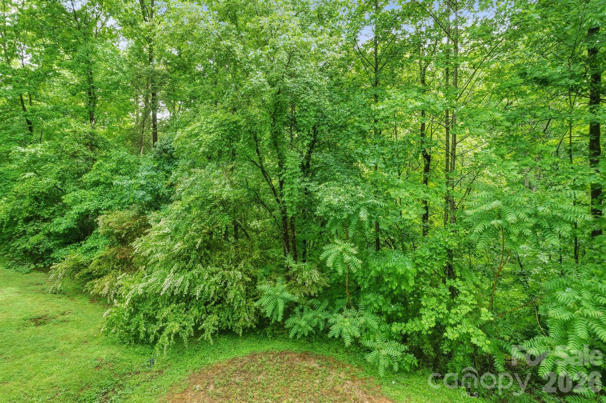 1227 Shirebourn None — Hickory