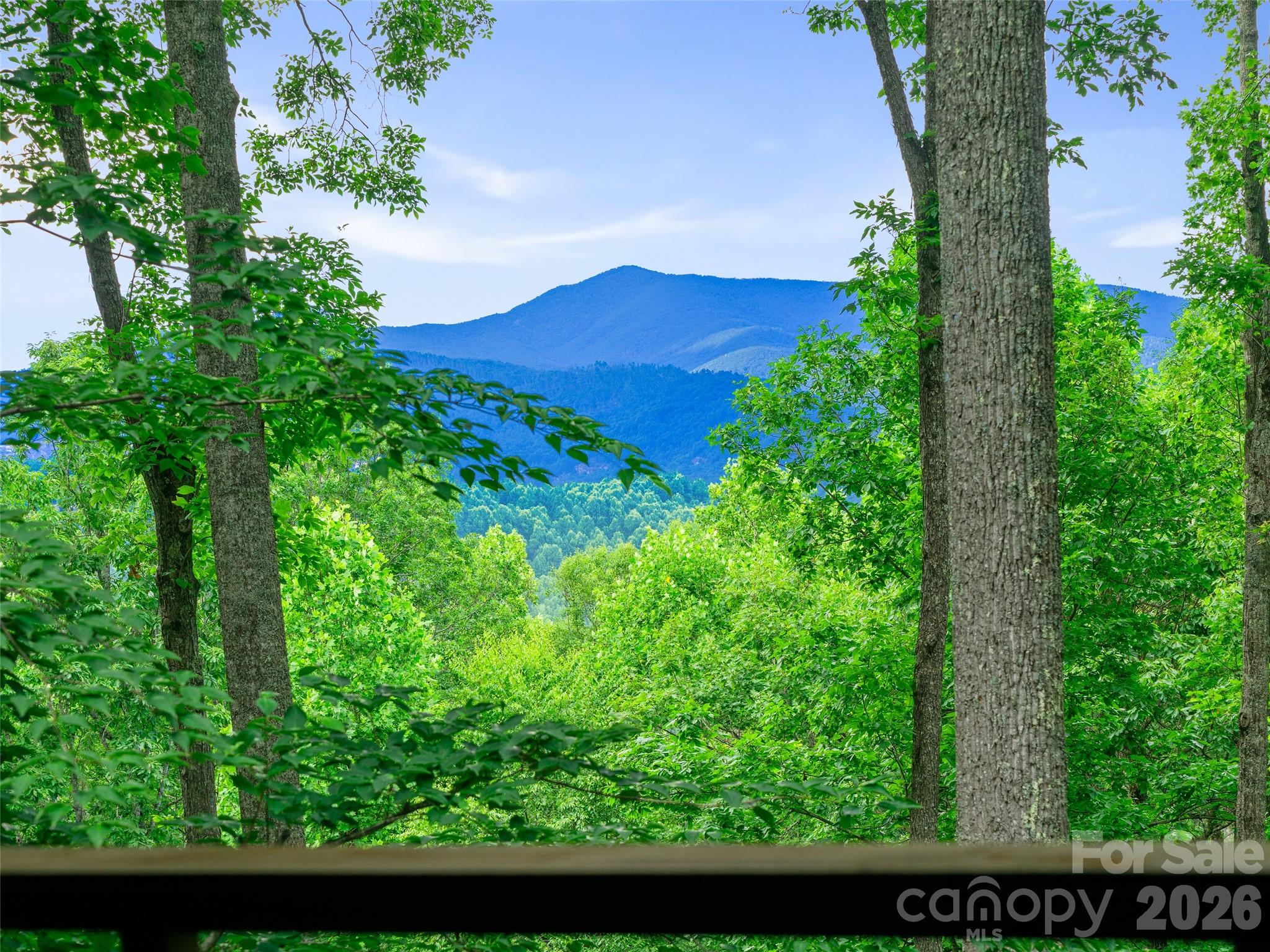 71 Chestnut Hill Road — Spruce Pine