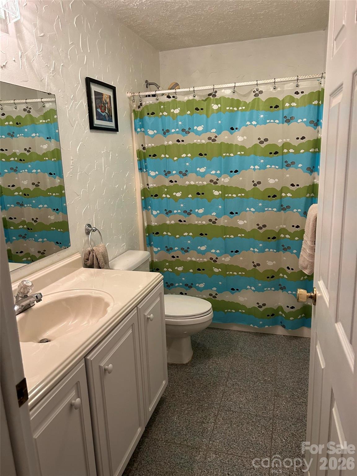 323 Swamp Fox Drive — Fort Mill