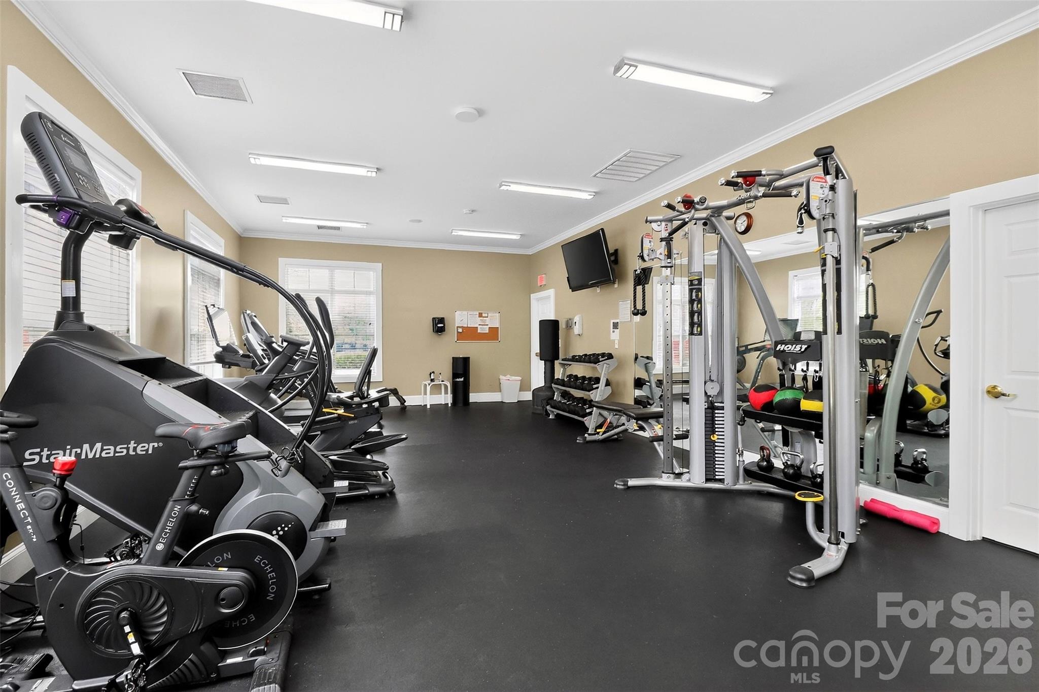 16809 Doe Valley Court — Cornelius