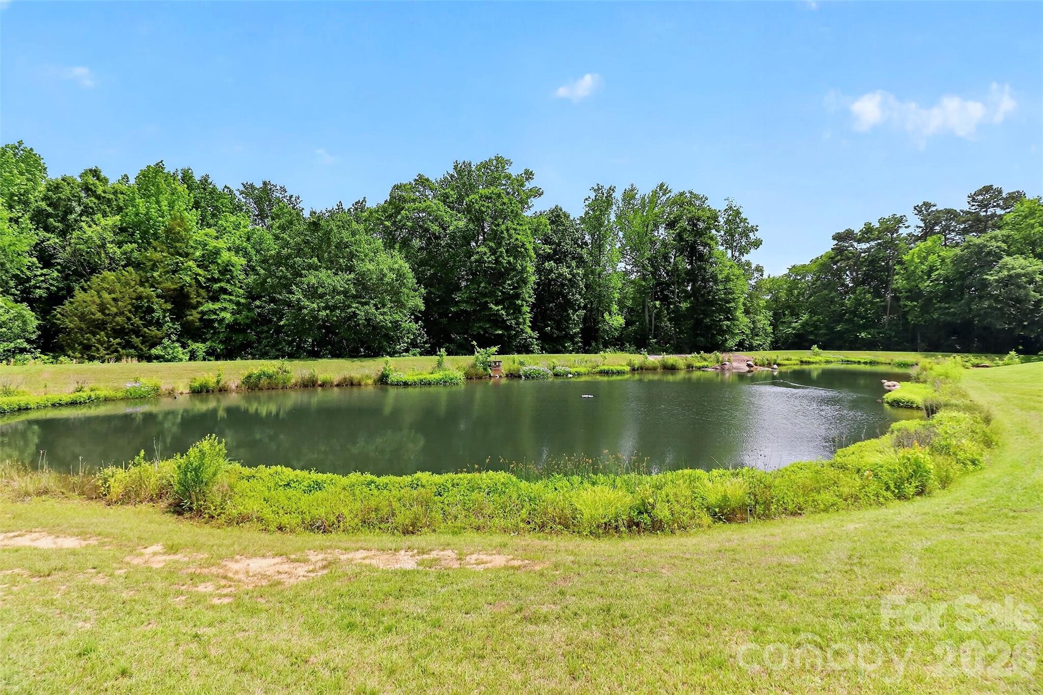 16809 Doe Valley Court — Cornelius