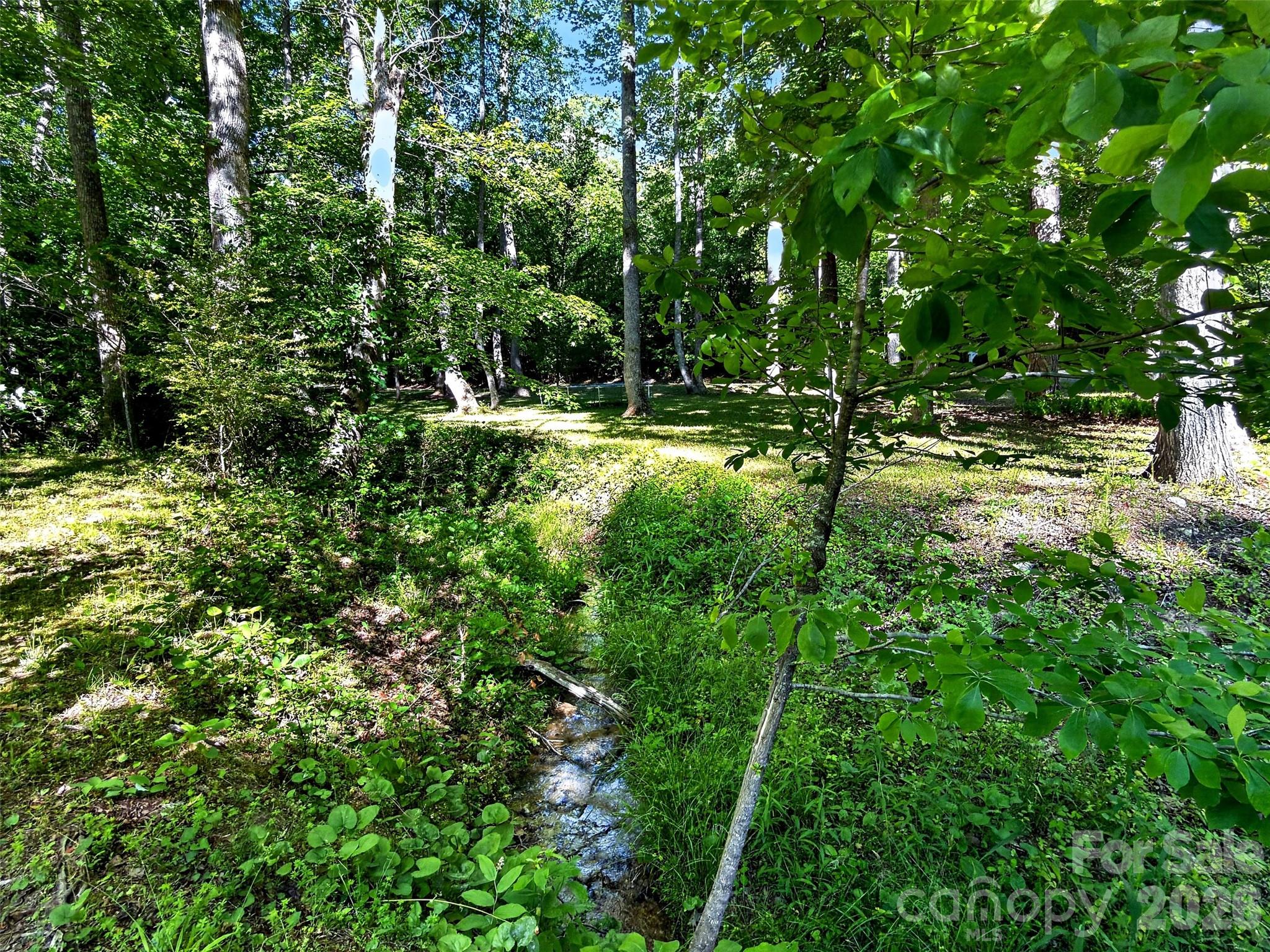 584 Clear Spring Trail #61 — Nebo