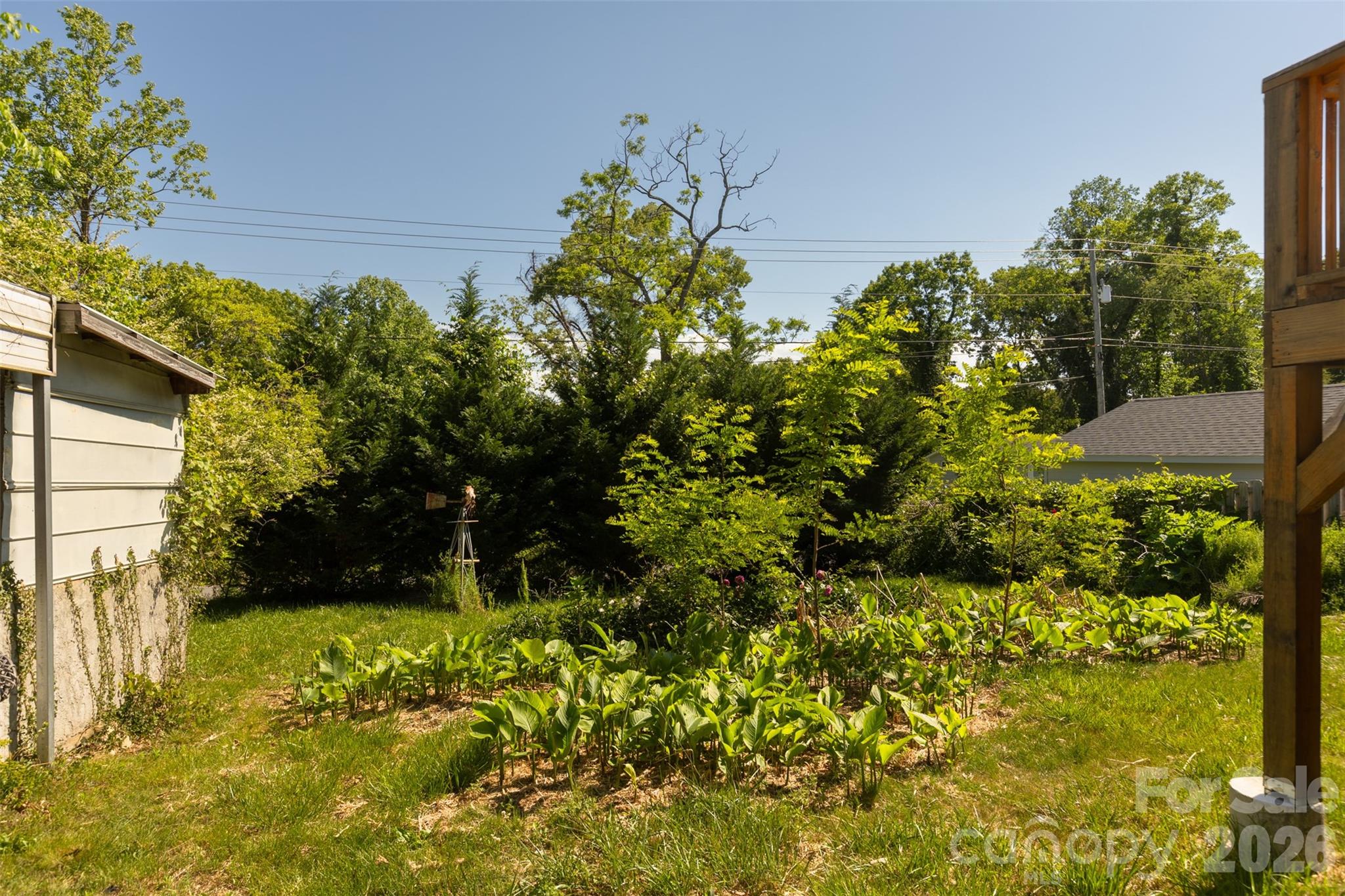 15 Walton Street — Asheville