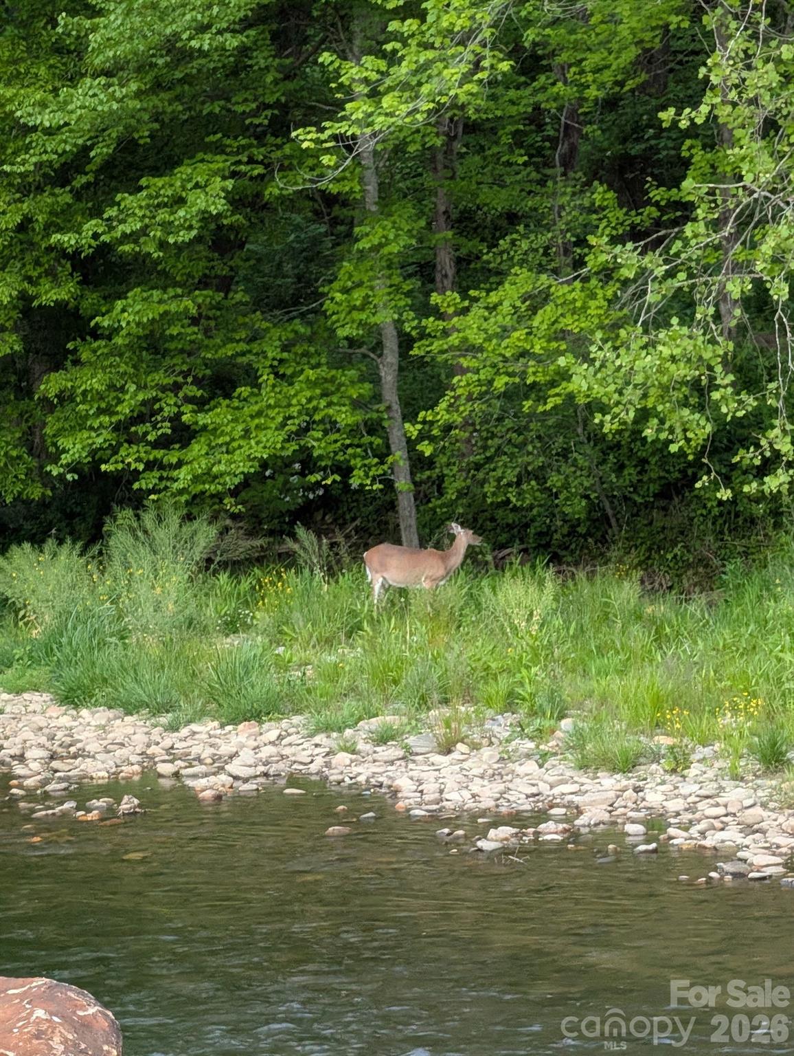 21 Swift Stream Lane — Waynesville