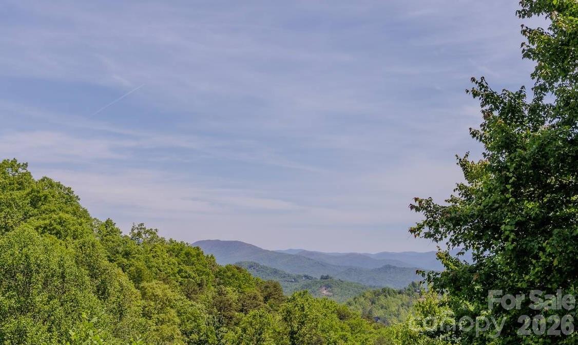 860 Butternut Ridge #8 — Bryson City