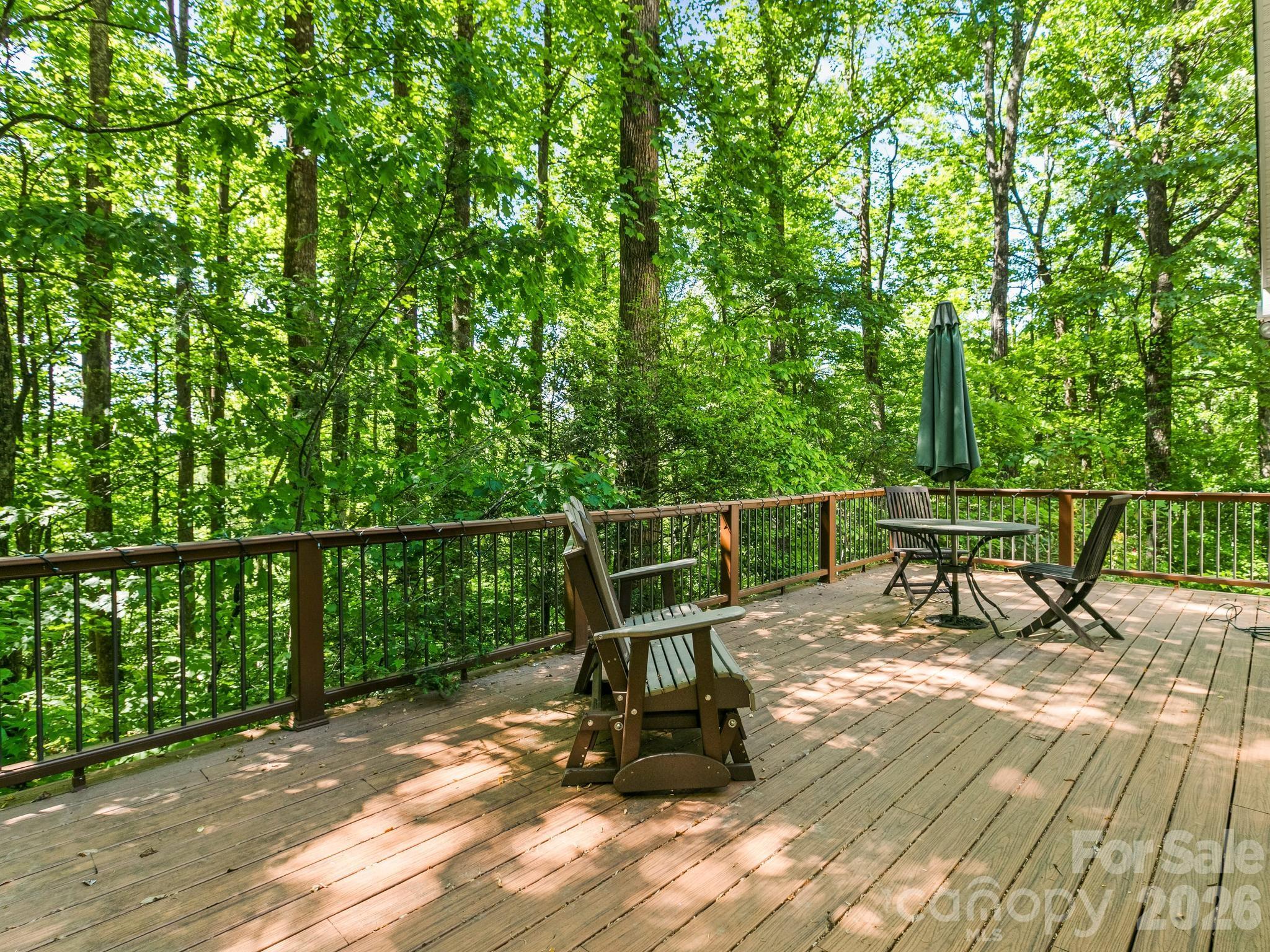 160 Little Mine Mountain Drive — Saluda