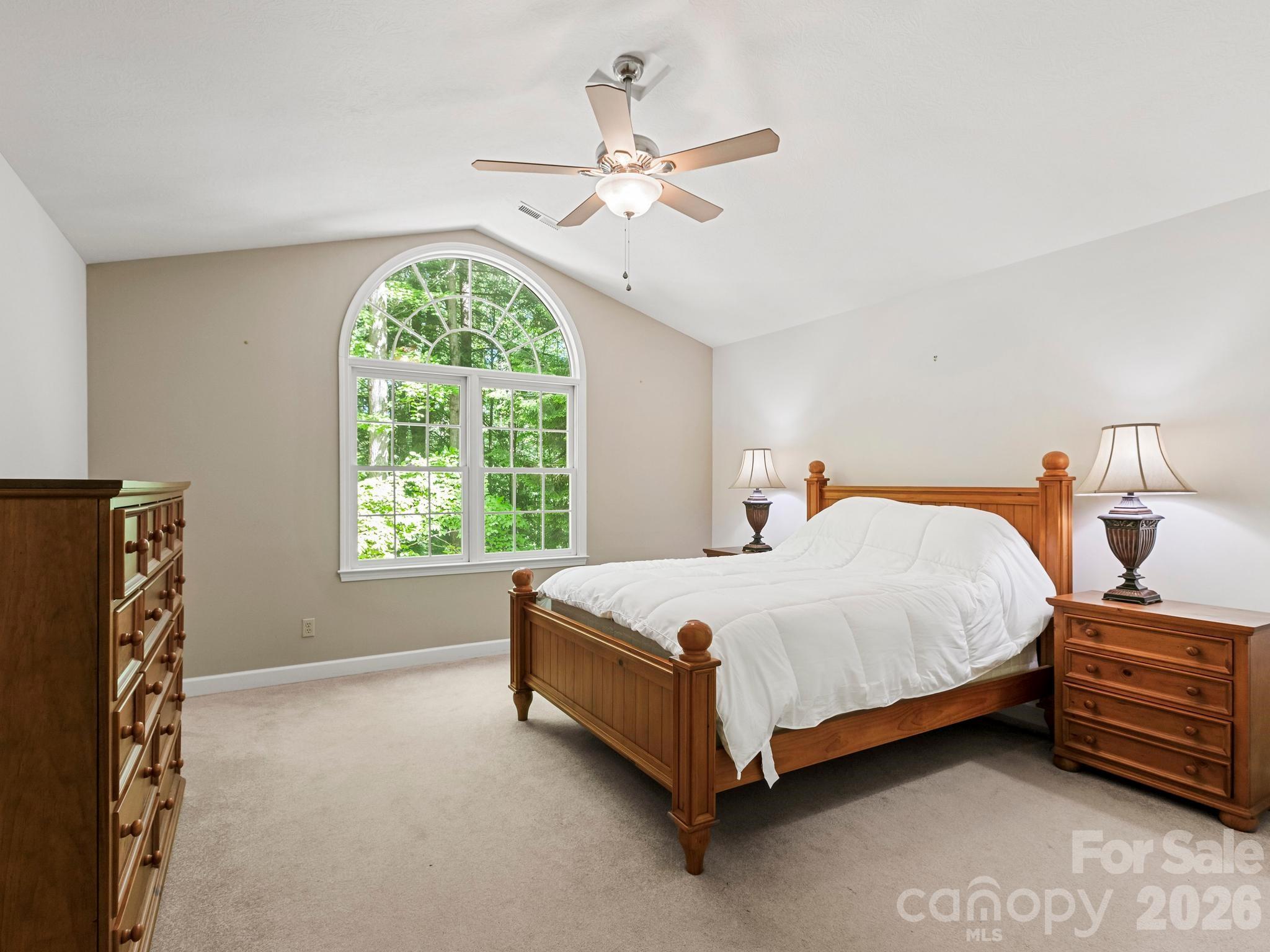 160 Little Mine Mountain Drive — Saluda