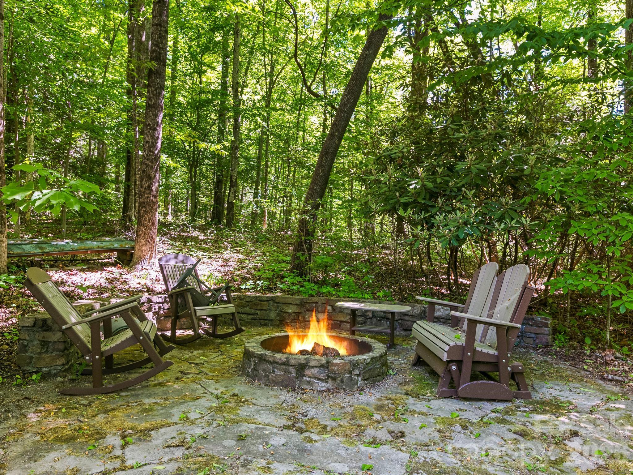 160 Little Mine Mountain Drive — Saluda
