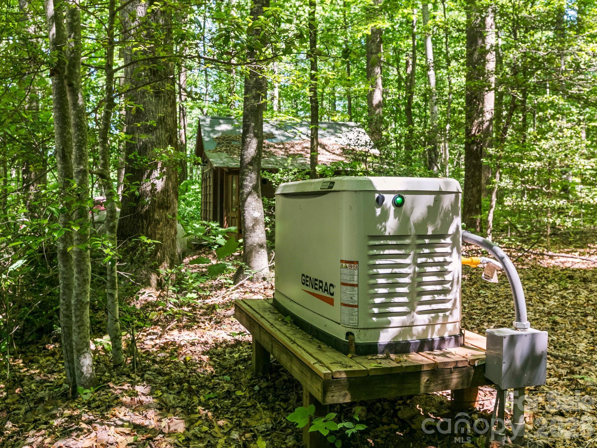 160 Little Mine Mountain Drive — Saluda