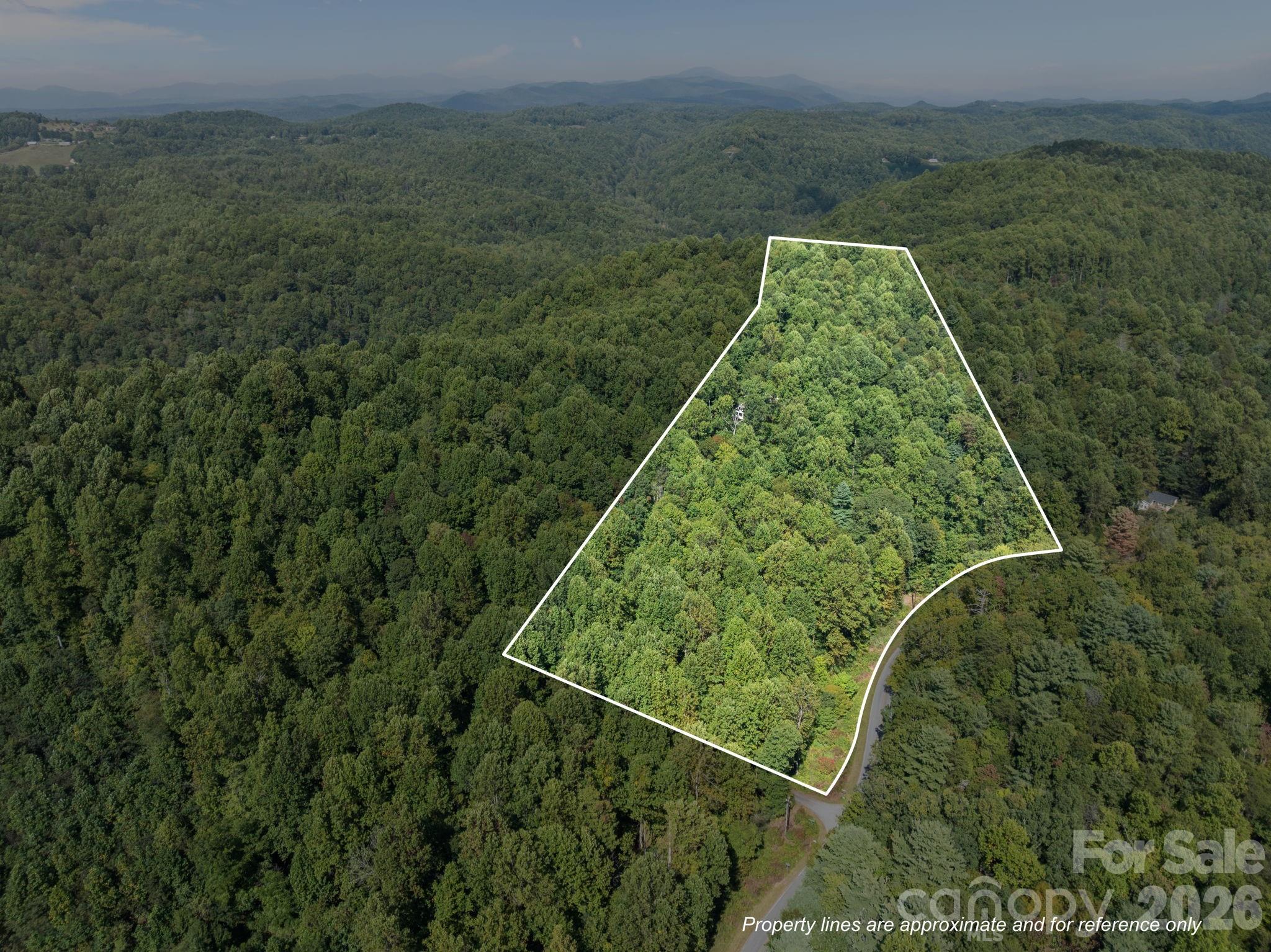 160 Little Mine Mountain Drive — Saluda