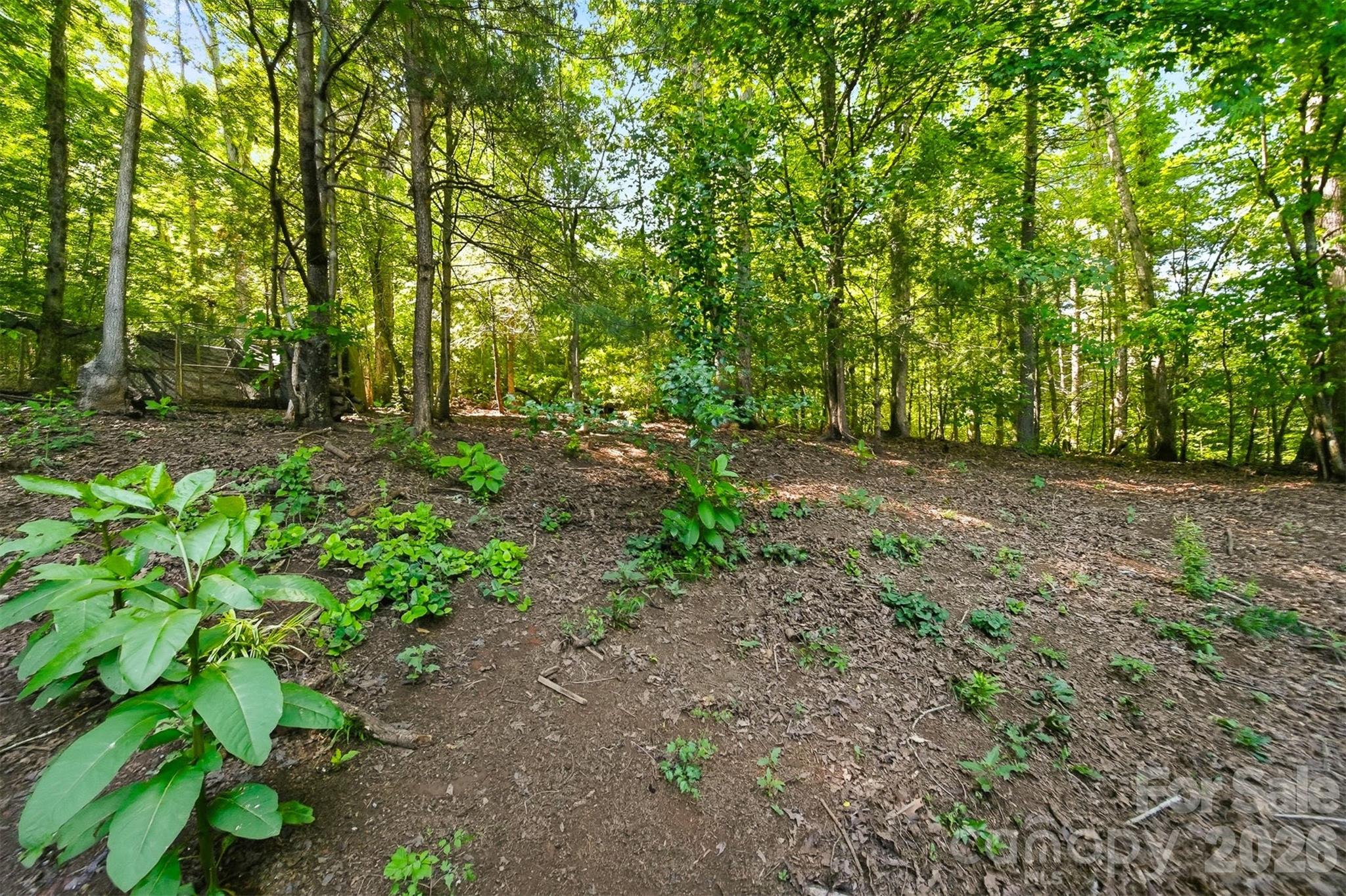 1006 Perkins Place — Lenoir