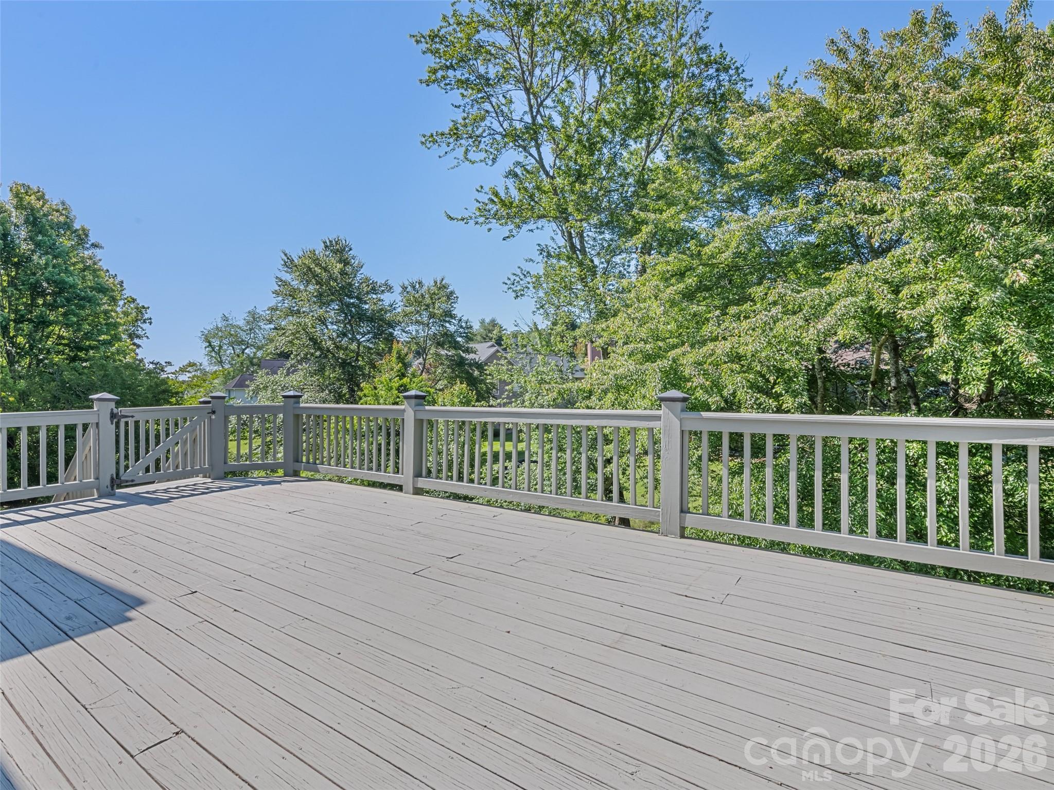 5 Split Creek Court — Mills River