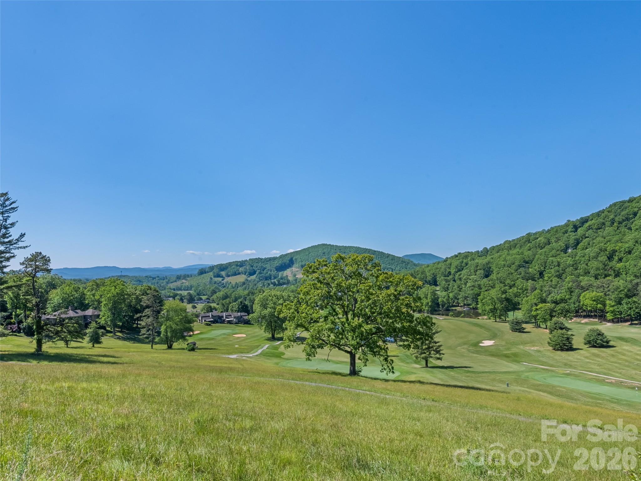 5 Split Creek Court — Mills River