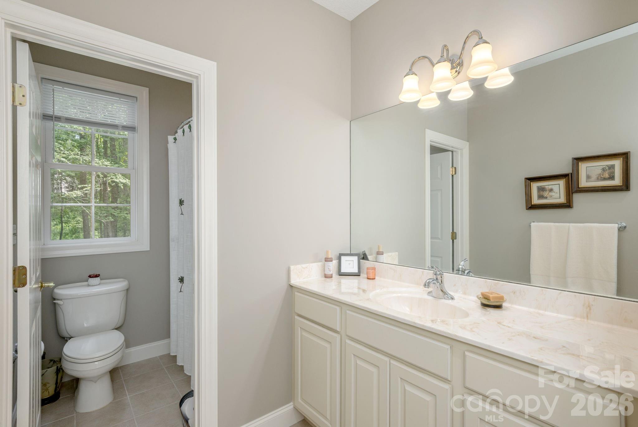 113 CHANCERY Court — Flat Rock