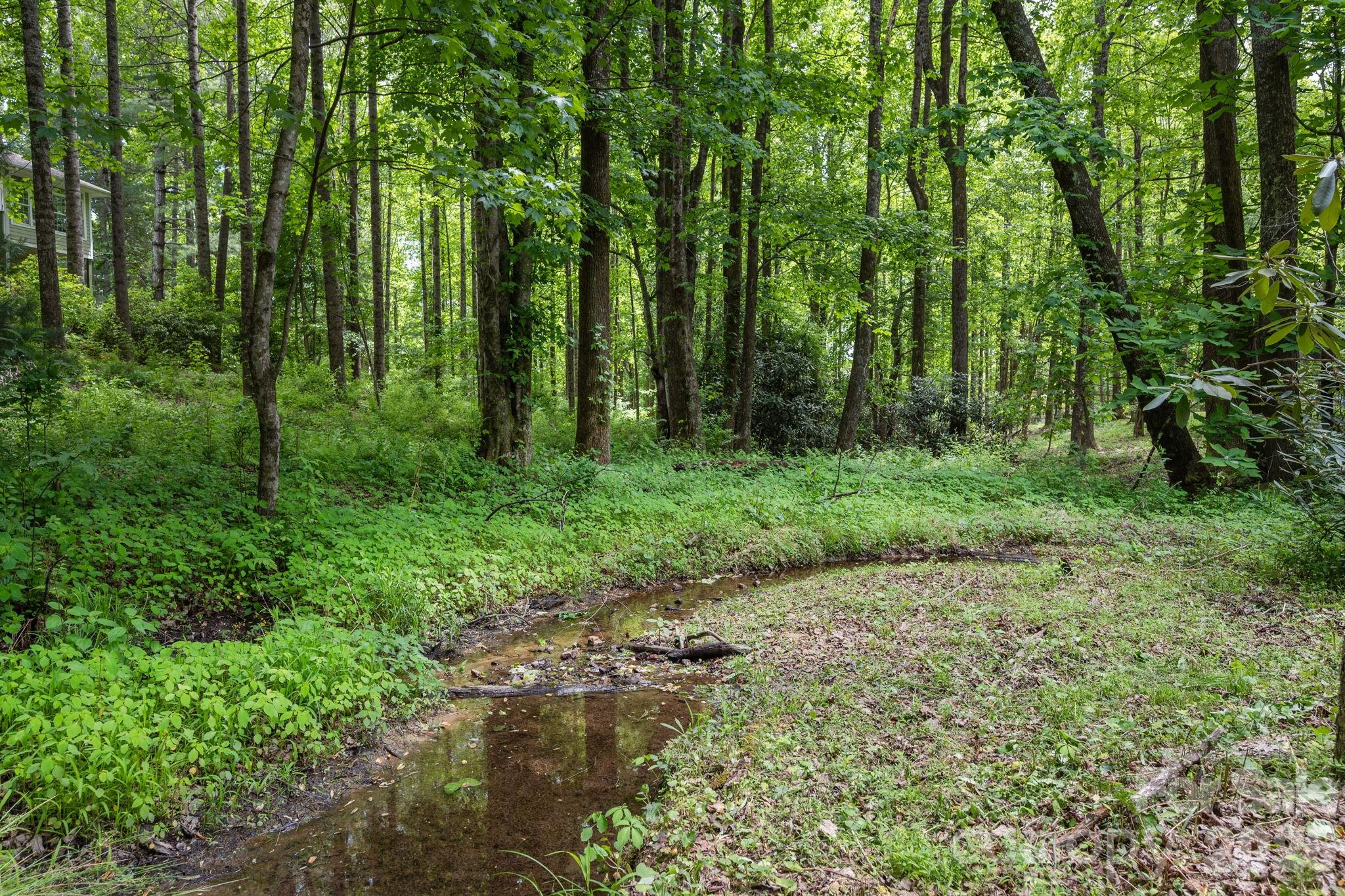 113 CHANCERY Court — Flat Rock