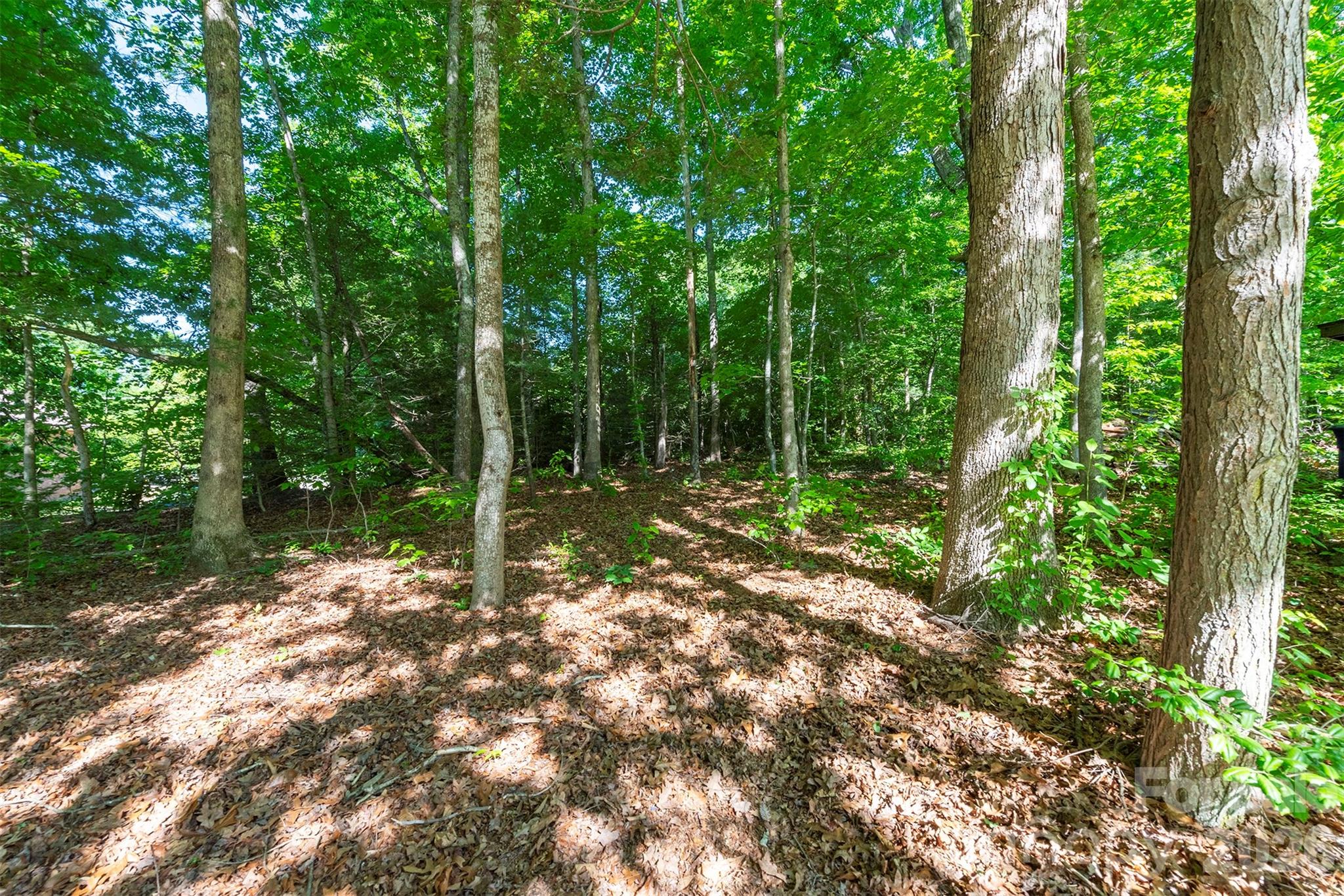 34 Goldmont Street — Black Mountain