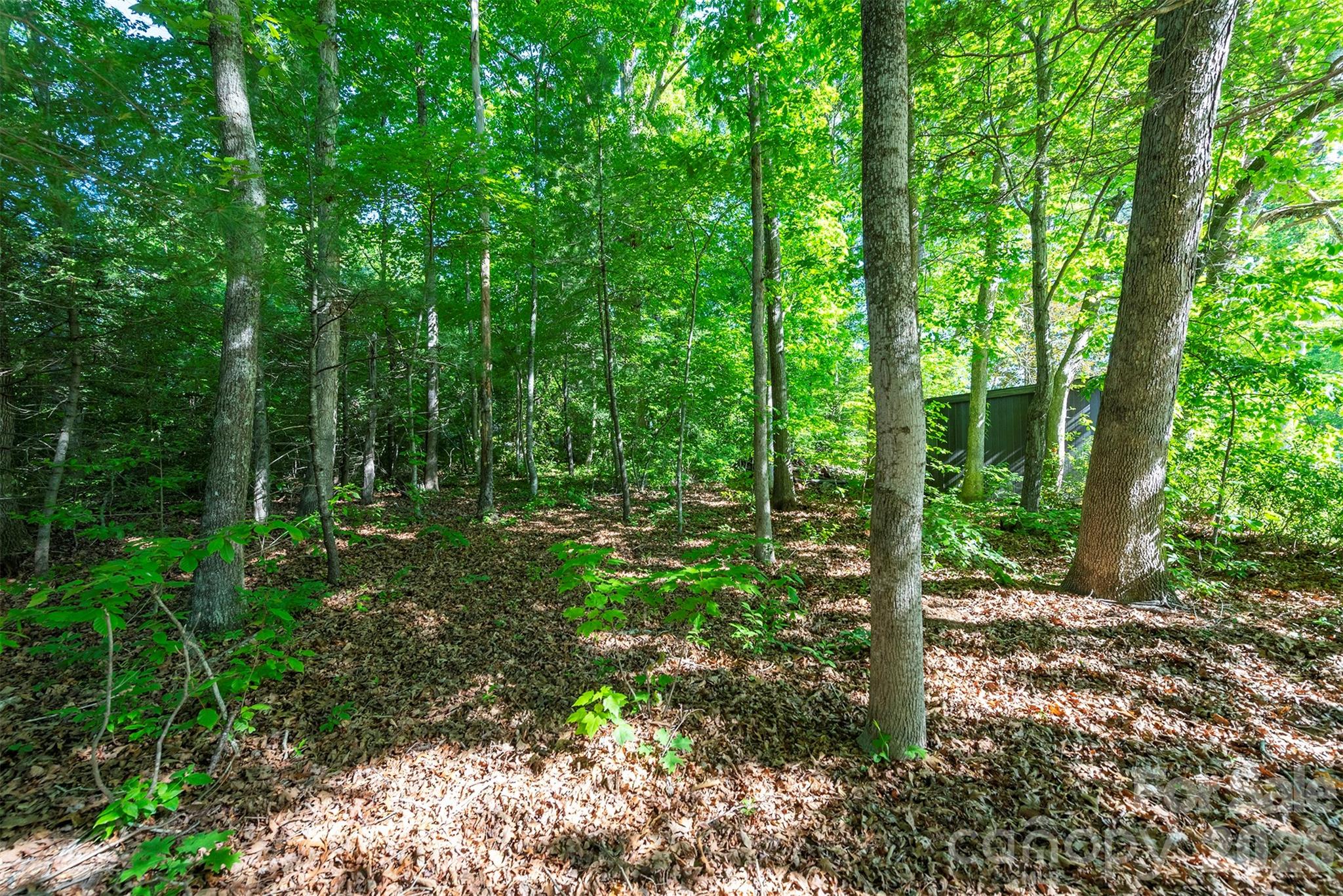 34 Goldmont Street — Black Mountain
