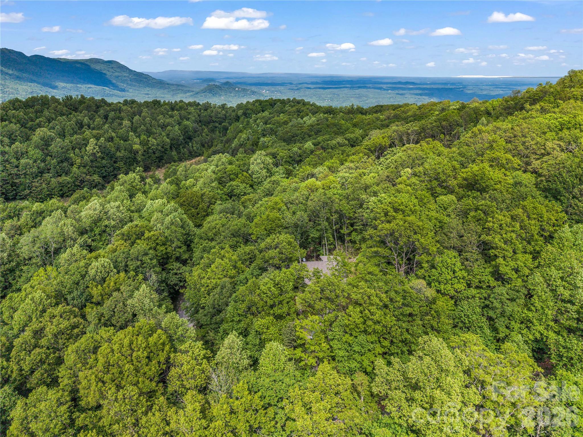 737 Melrose Mountain Road — Tryon